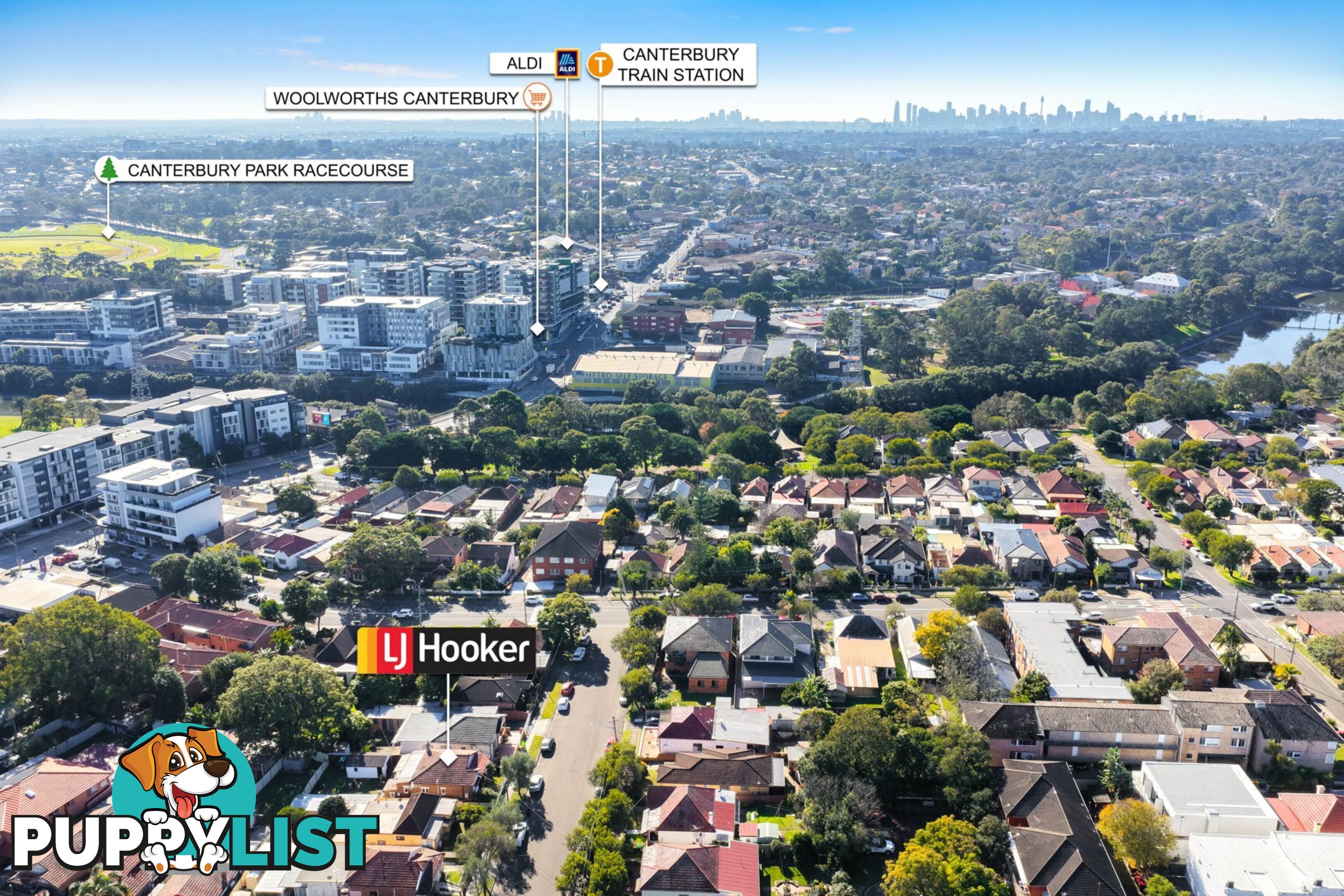 5 Ivy Street CANTERBURY NSW 2193