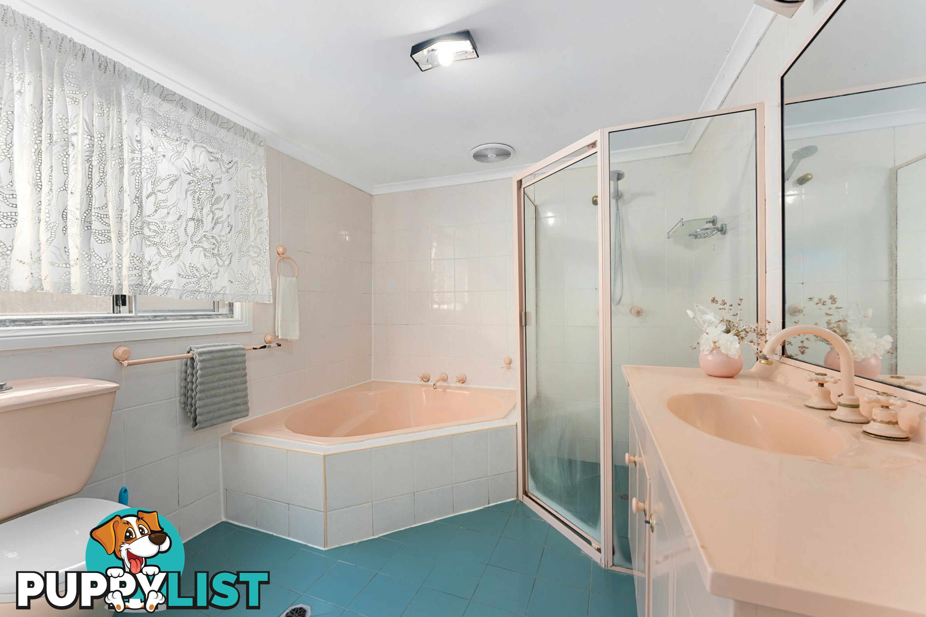 5 Ivy Street CANTERBURY NSW 2193