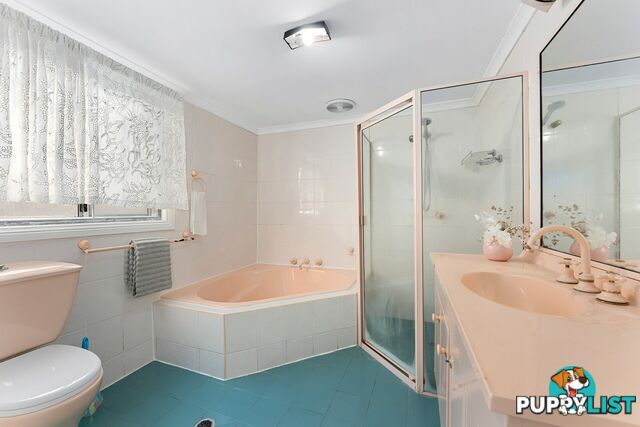 5 Ivy Street CANTERBURY NSW 2193