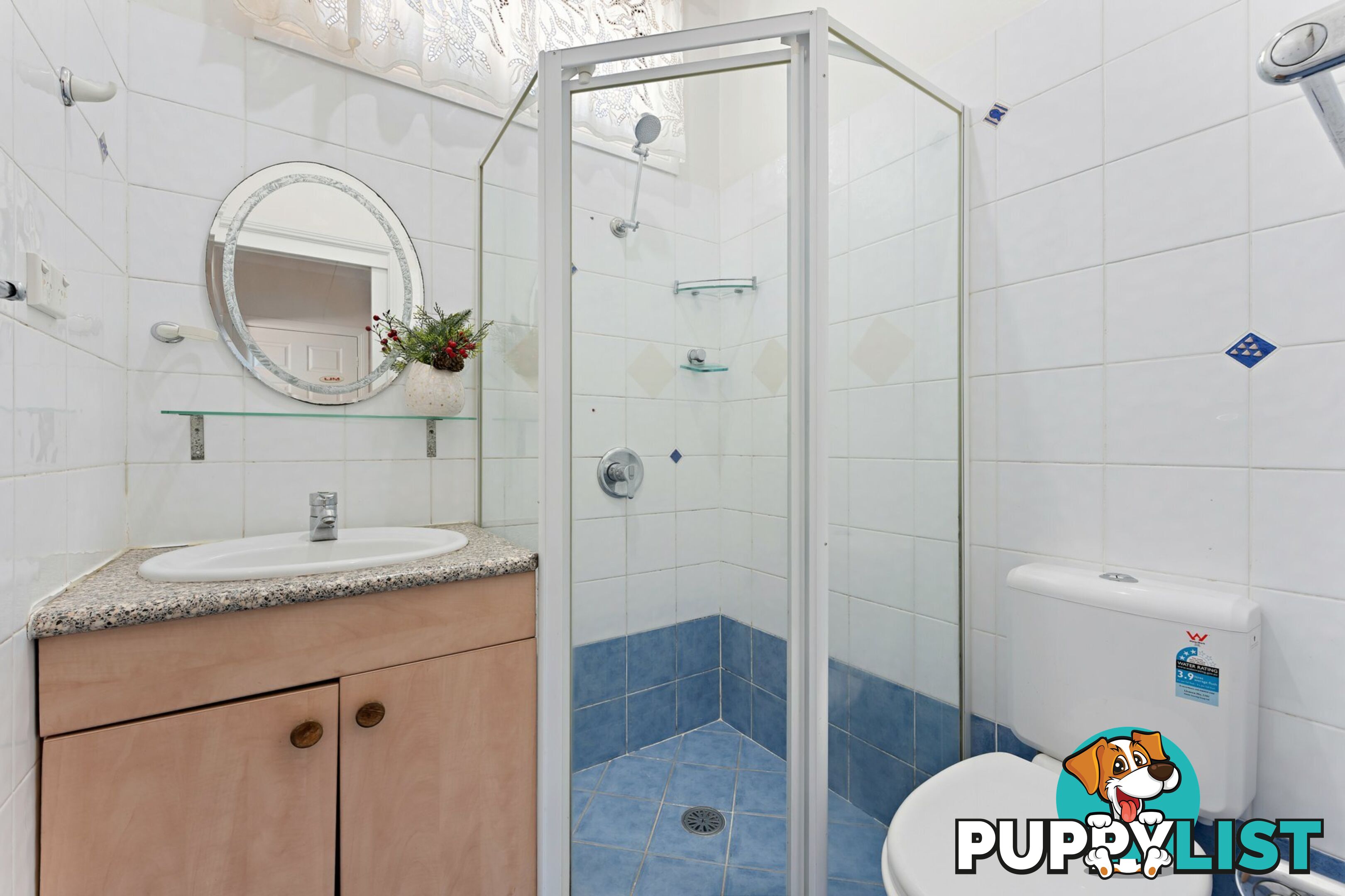 5 Ivy Street CANTERBURY NSW 2193