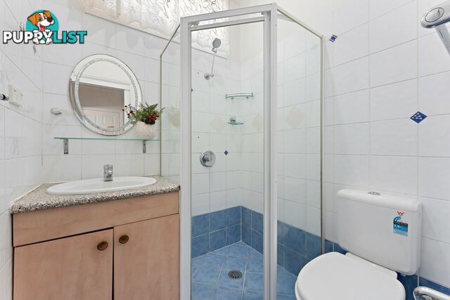 5 Ivy Street CANTERBURY NSW 2193