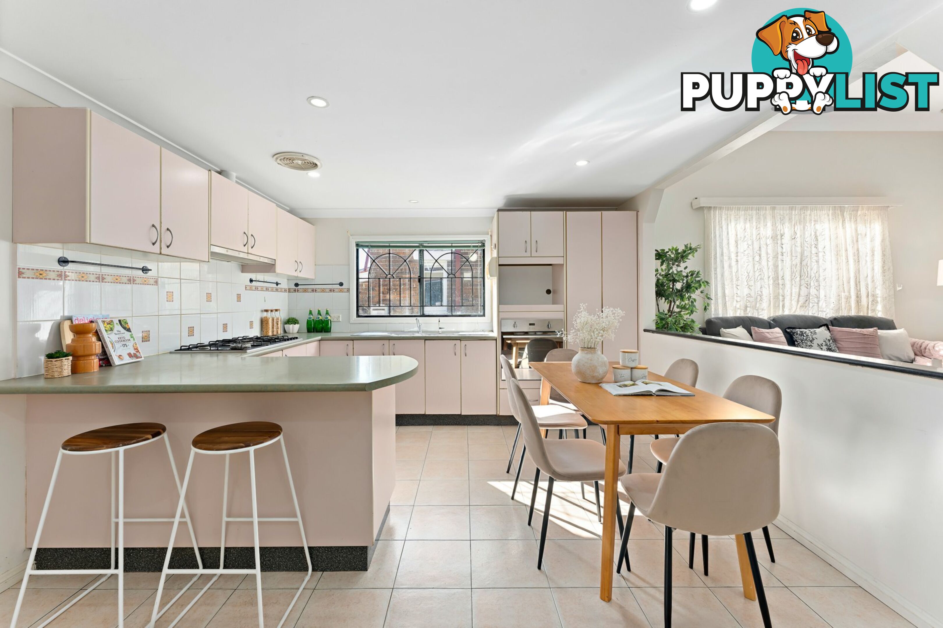 5 Ivy Street CANTERBURY NSW 2193
