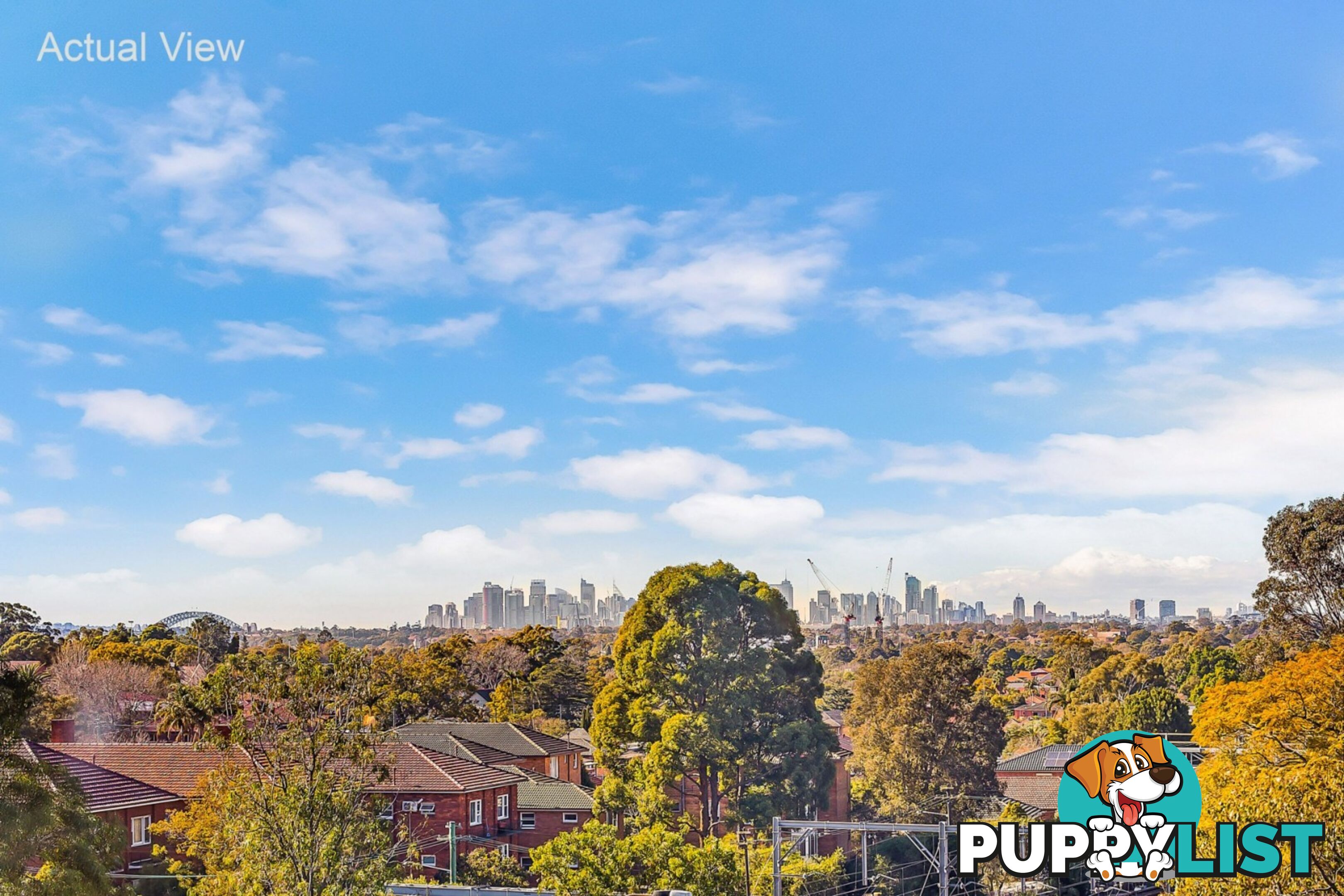 501/65 Shaftesbury Road BURWOOD NSW 2134