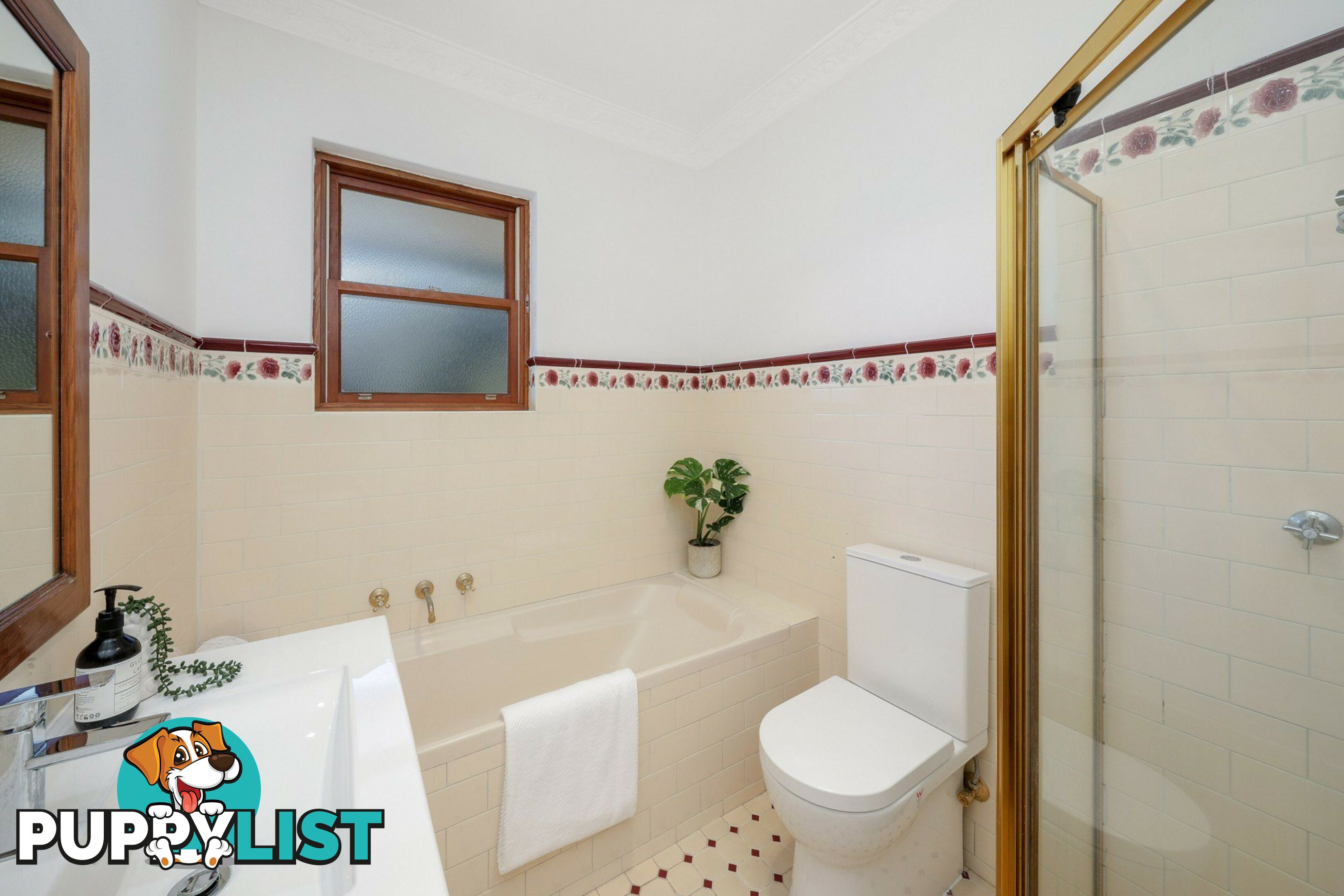 124 Lucas Road BURWOOD NSW 2134