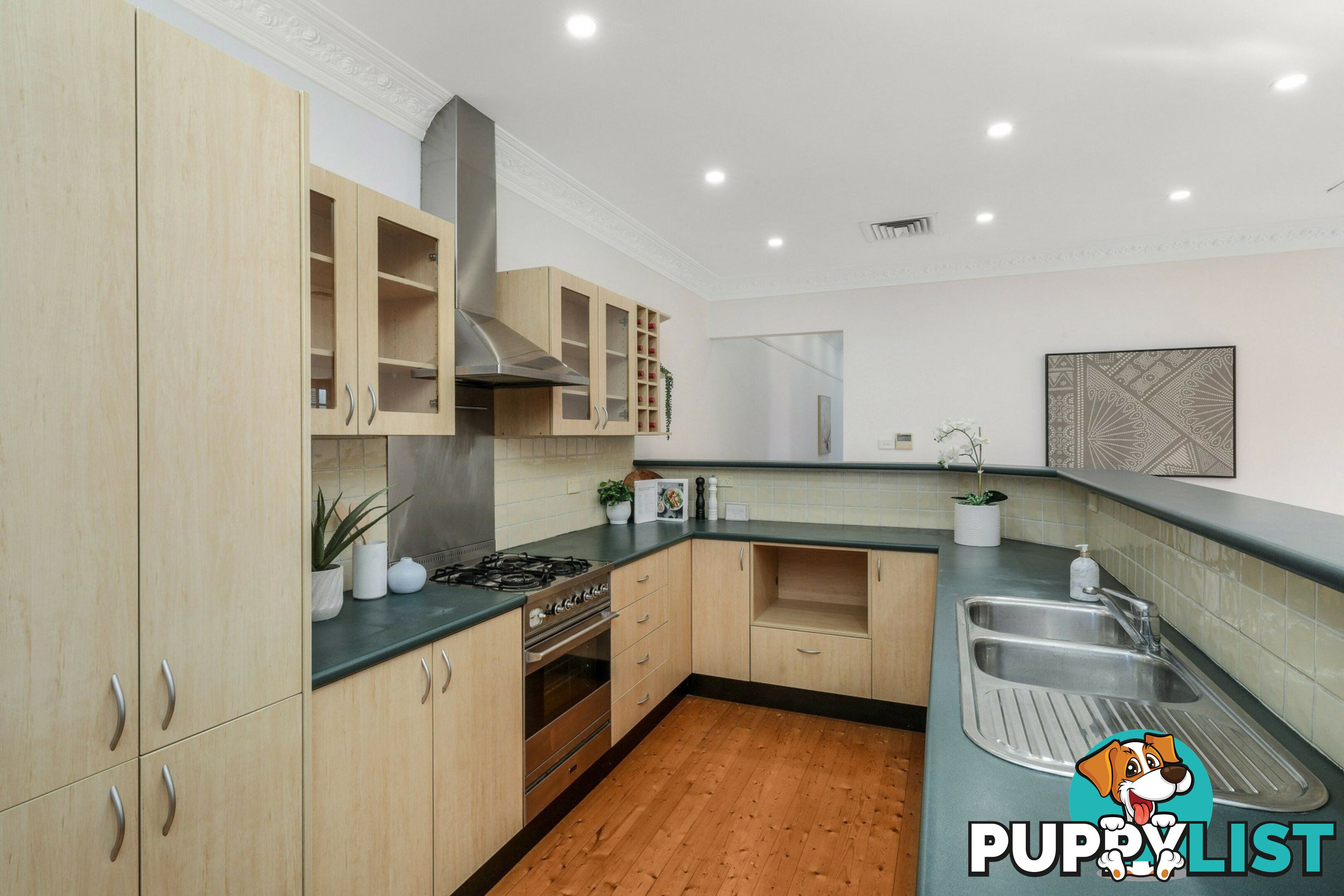 124 Lucas Road BURWOOD NSW 2134