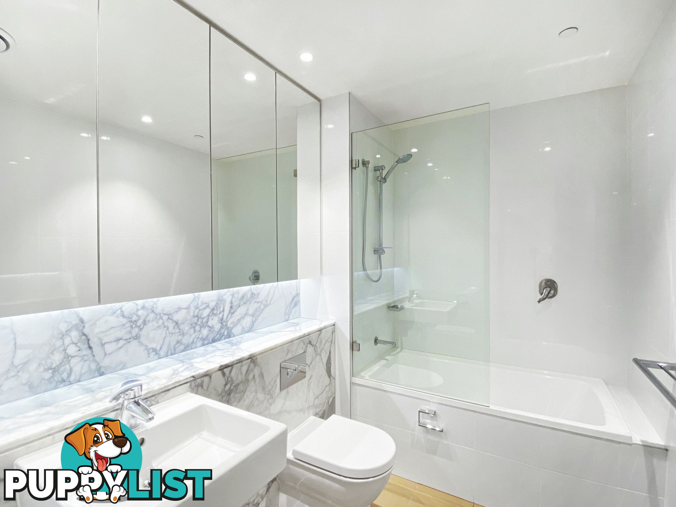 B601/43 Belmore Street BURWOOD NSW 2134