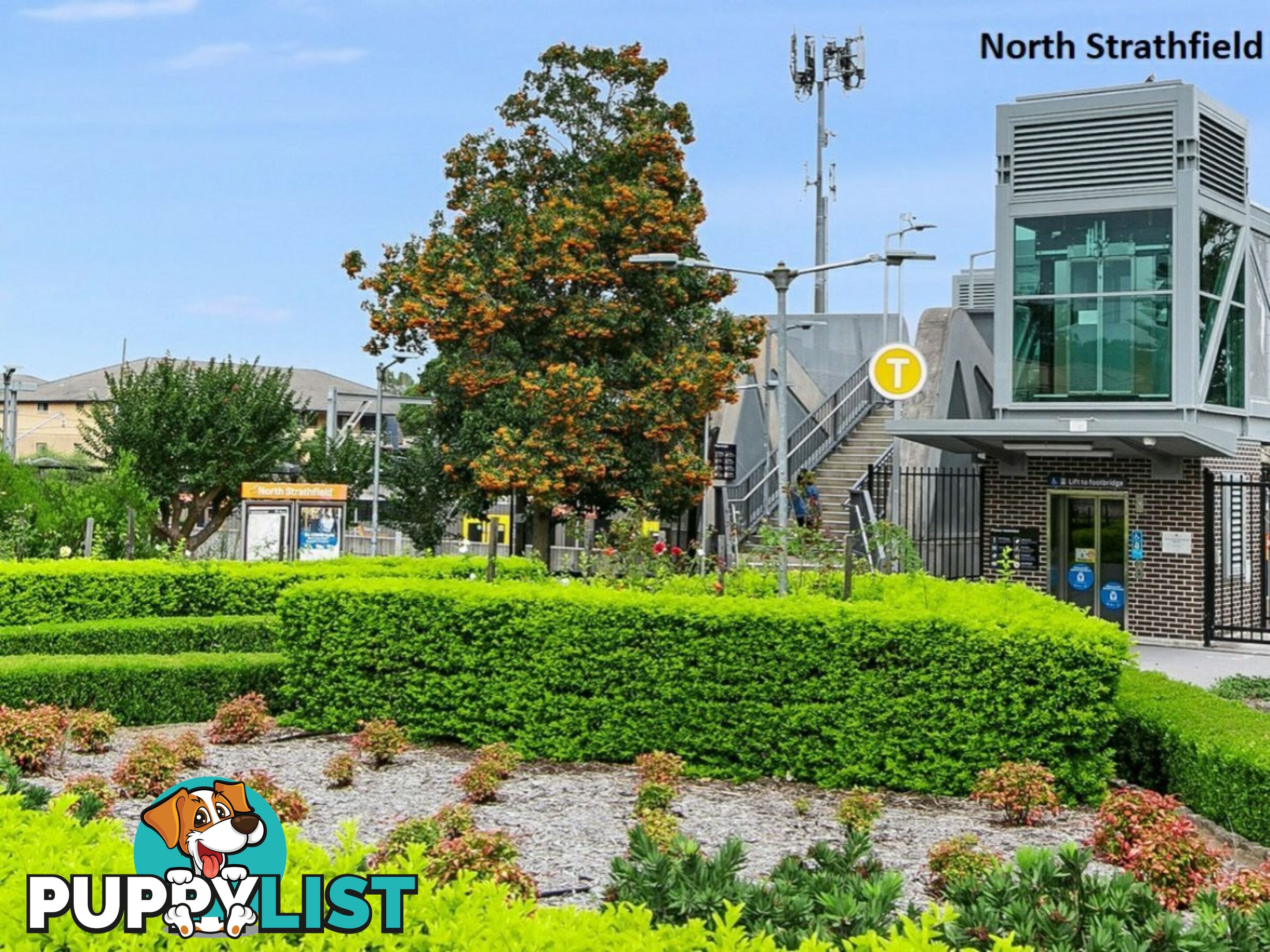 9/125 Queen Street NORTH STRATHFIELD NSW 2137