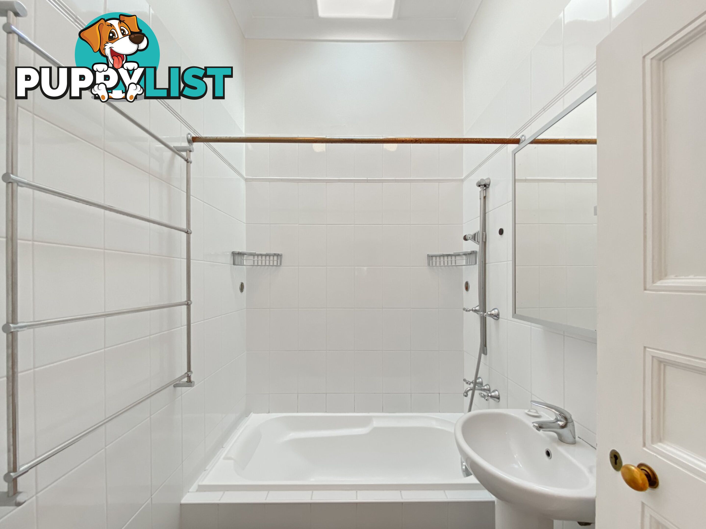 51 Edwin Street South CROYDON NSW 2132