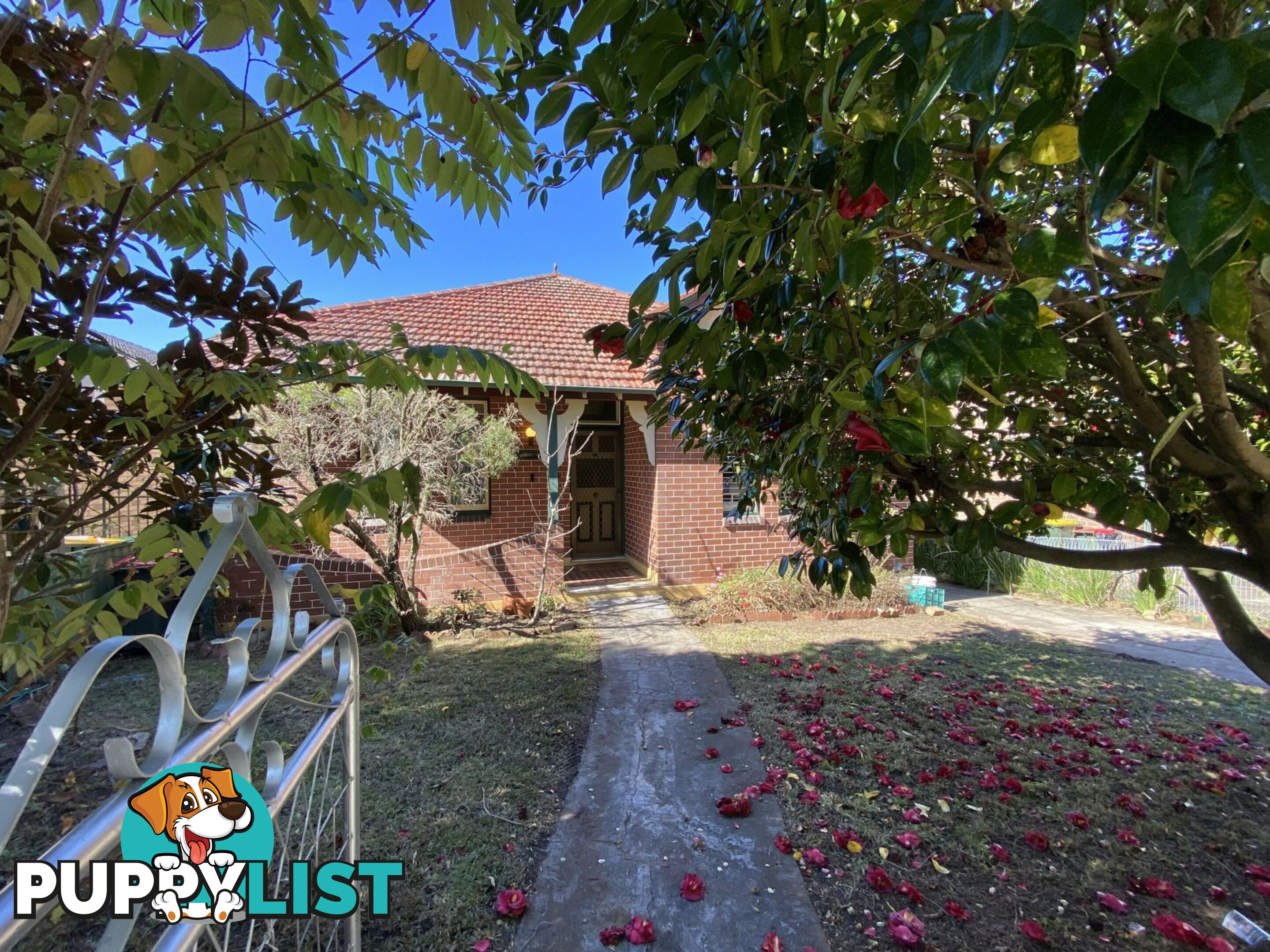51 Edwin Street South CROYDON NSW 2132