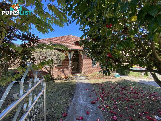 51 Edwin Street South CROYDON NSW 2132