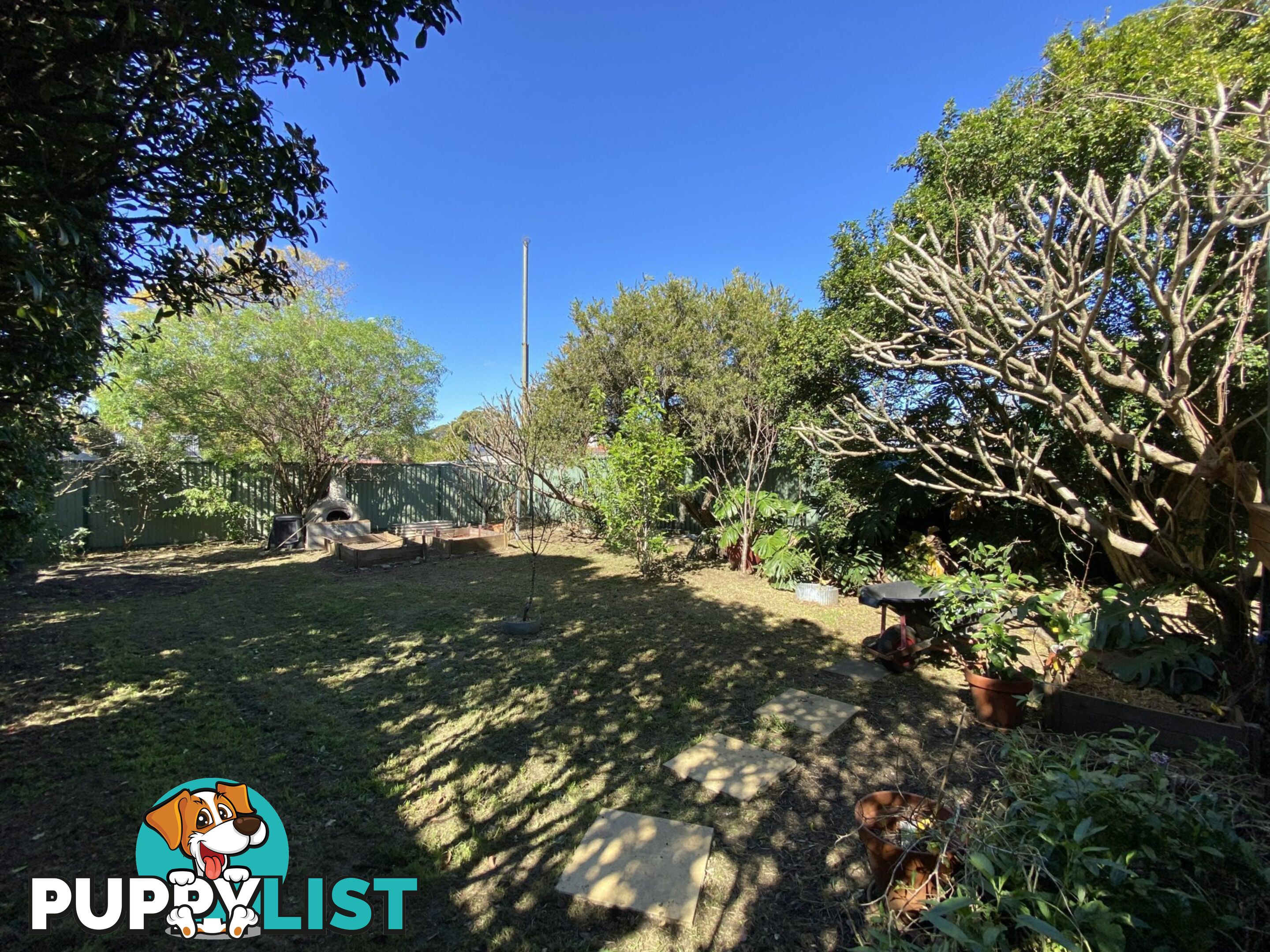 51 Edwin Street South CROYDON NSW 2132