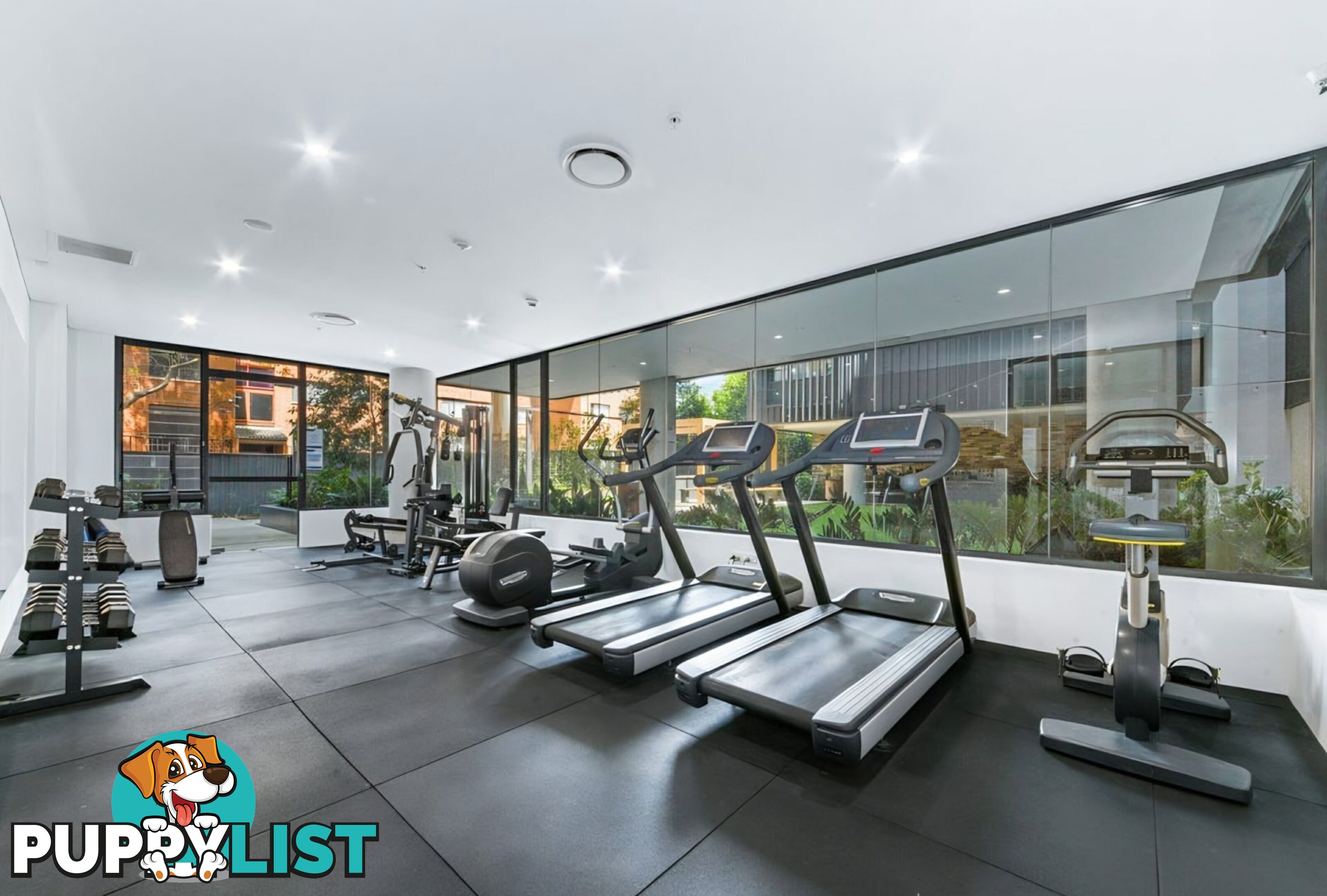 501/15-19 Clarence Street BURWOOD NSW 2134