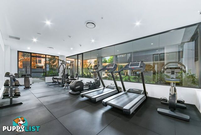 501/15-19 Clarence Street BURWOOD NSW 2134