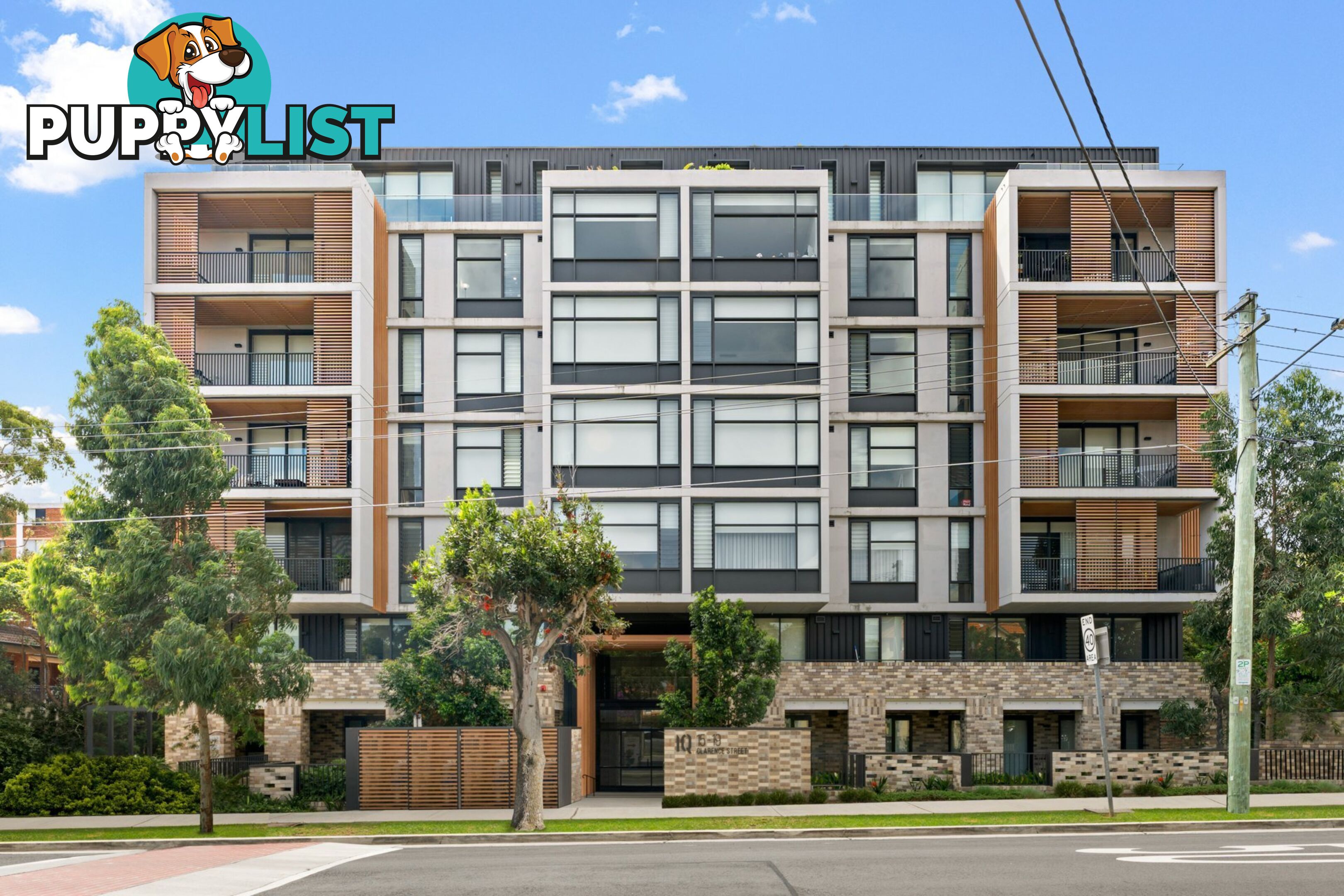 501/15-19 Clarence Street BURWOOD NSW 2134