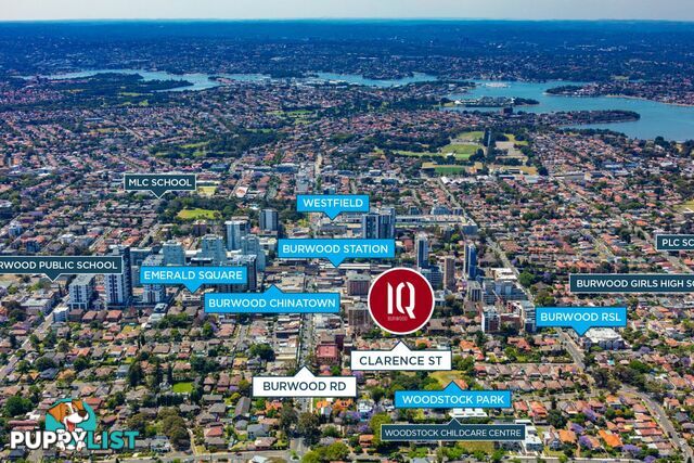 501/15-19 Clarence Street BURWOOD NSW 2134