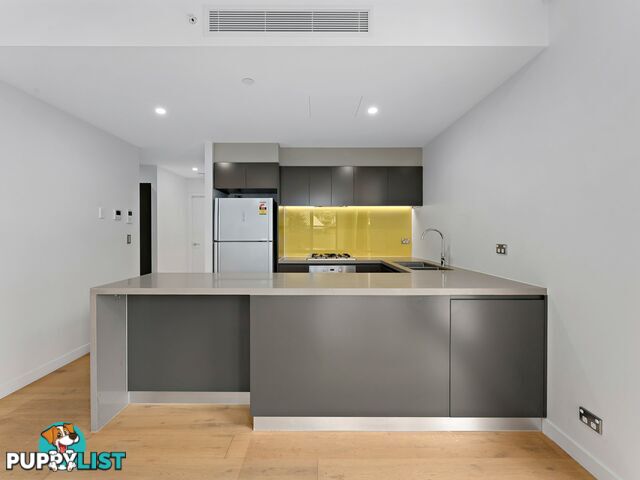 205/11-13 Burwood Road BURWOOD NSW 2134