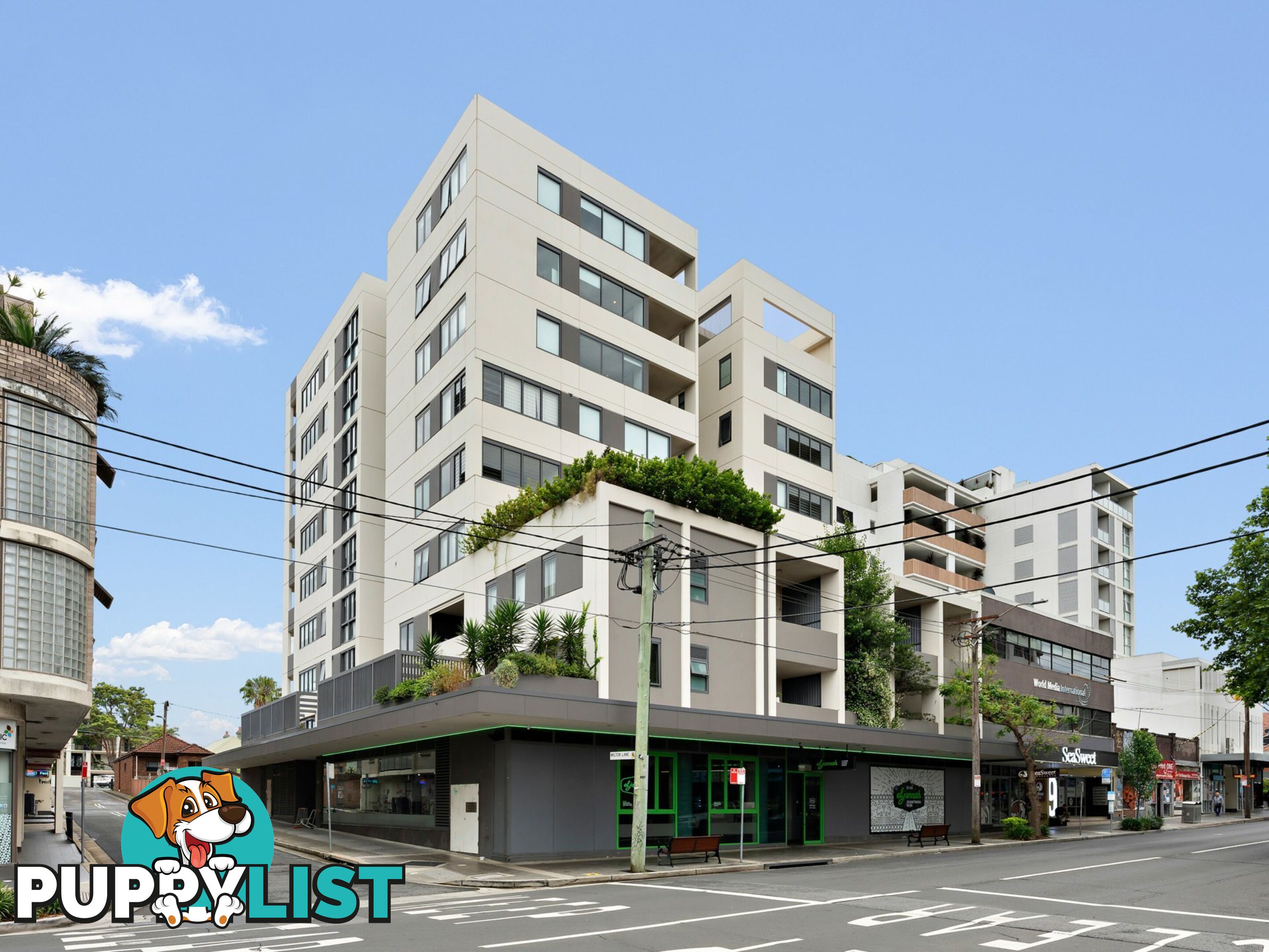 205/11-13 Burwood Road BURWOOD NSW 2134