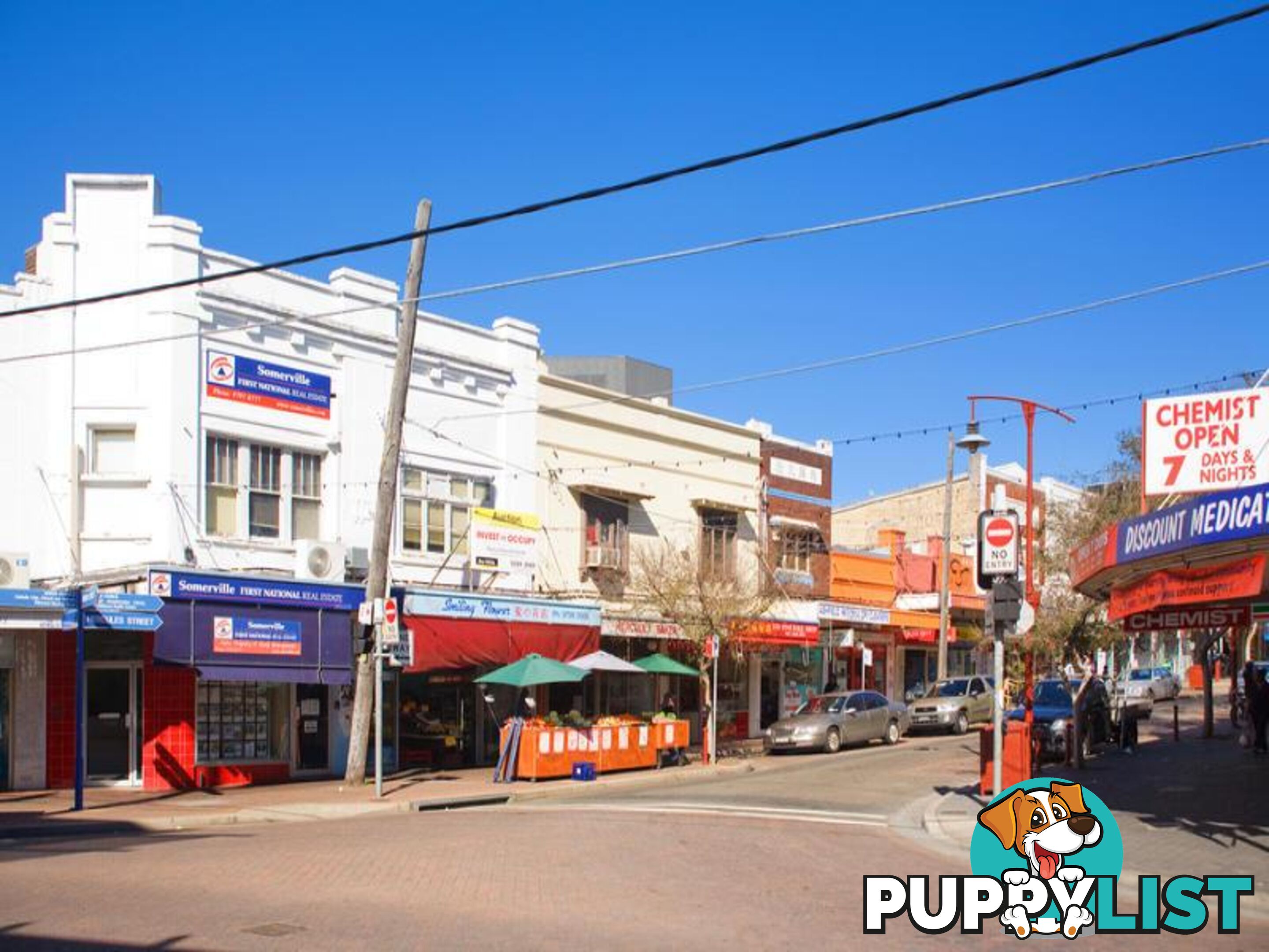 6 Hercules Street ASHFIELD NSW 2131