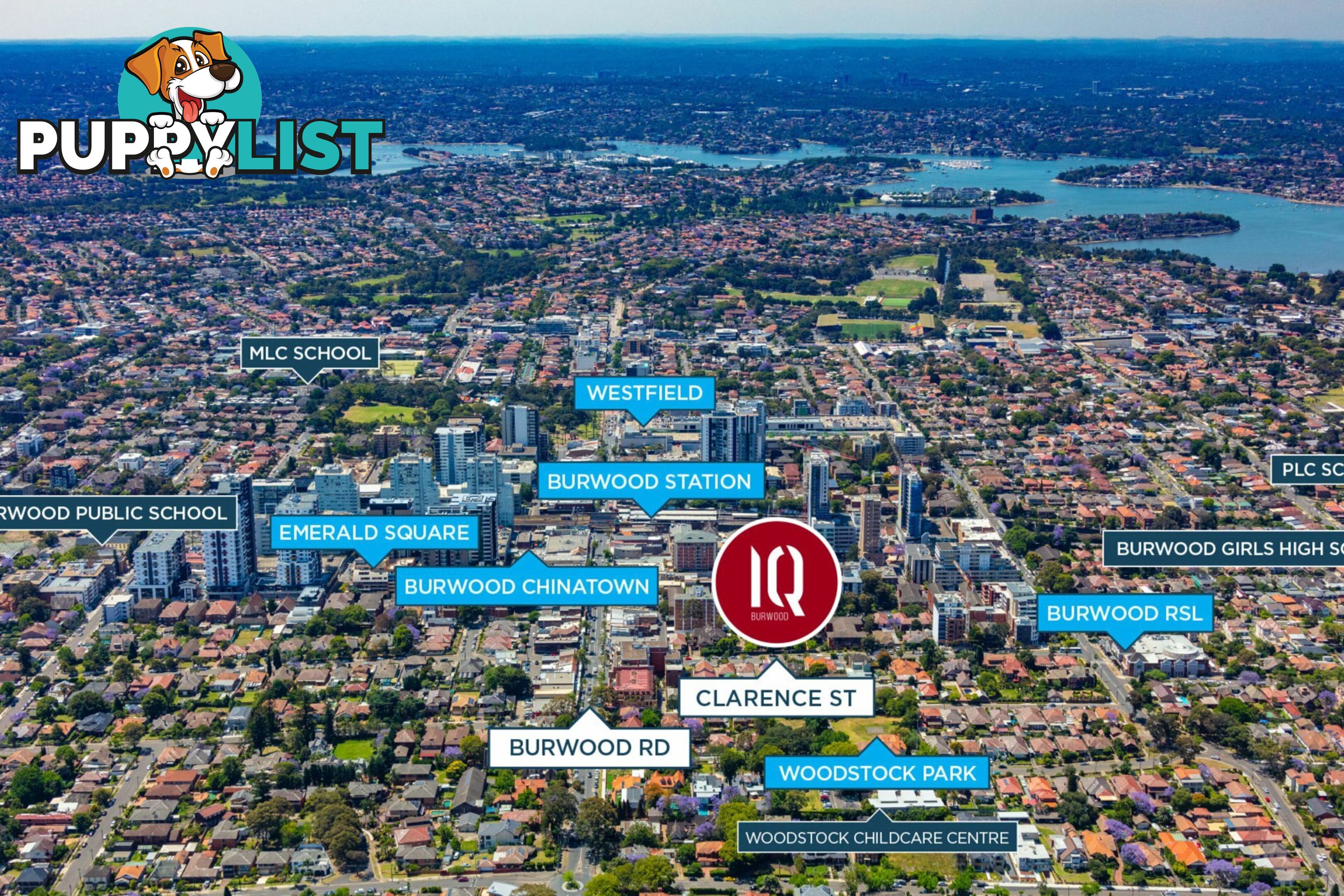 509/15-19 Clarence Street BURWOOD NSW 2134