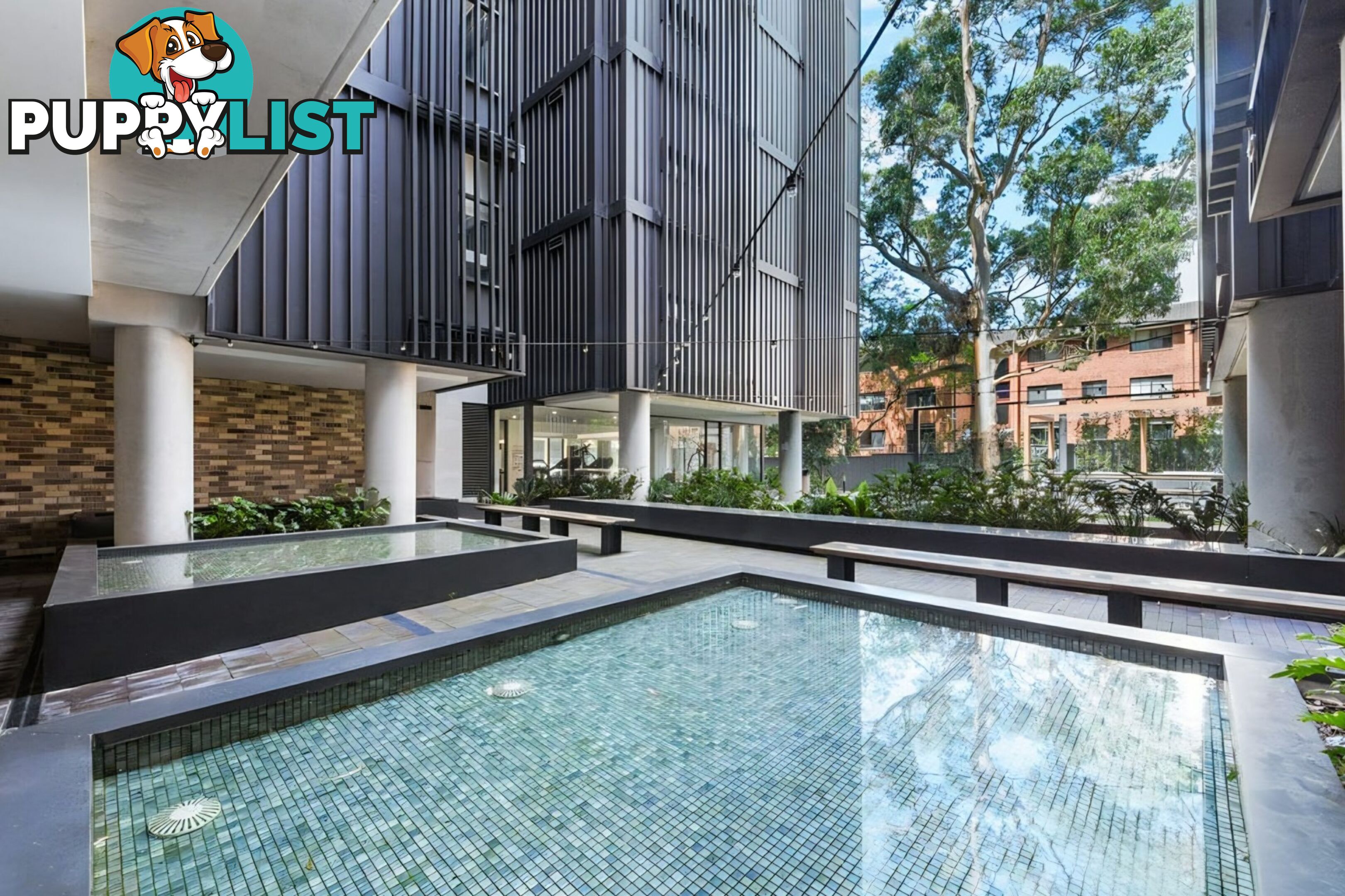 509/15-19 Clarence Street BURWOOD NSW 2134