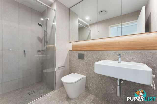 509/15-19 Clarence Street BURWOOD NSW 2134