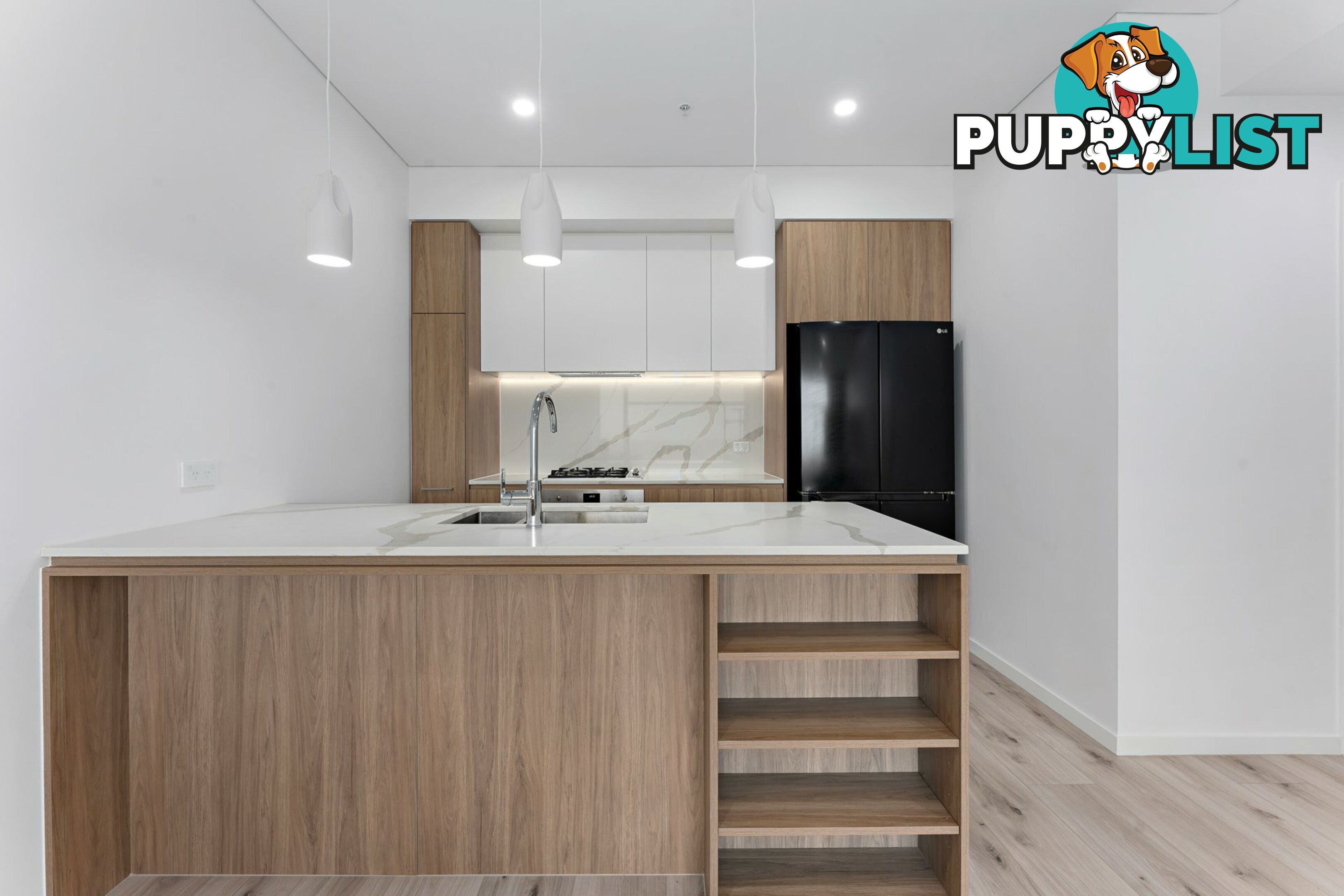 509/15-19 Clarence Street BURWOOD NSW 2134
