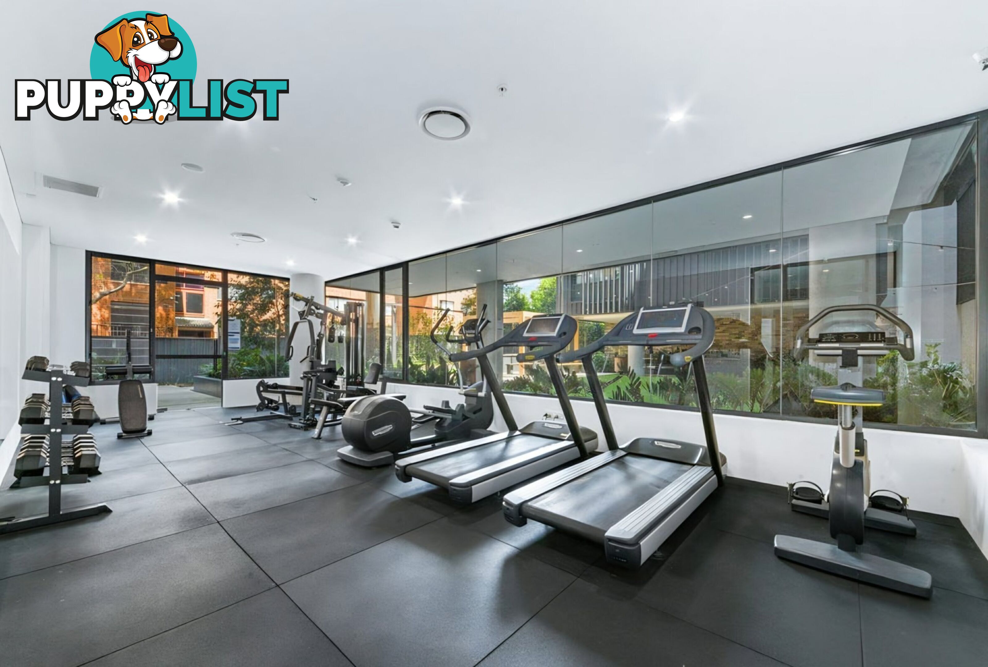 509/15-19 Clarence Street BURWOOD NSW 2134