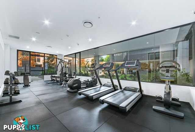 509/15-19 Clarence Street BURWOOD NSW 2134