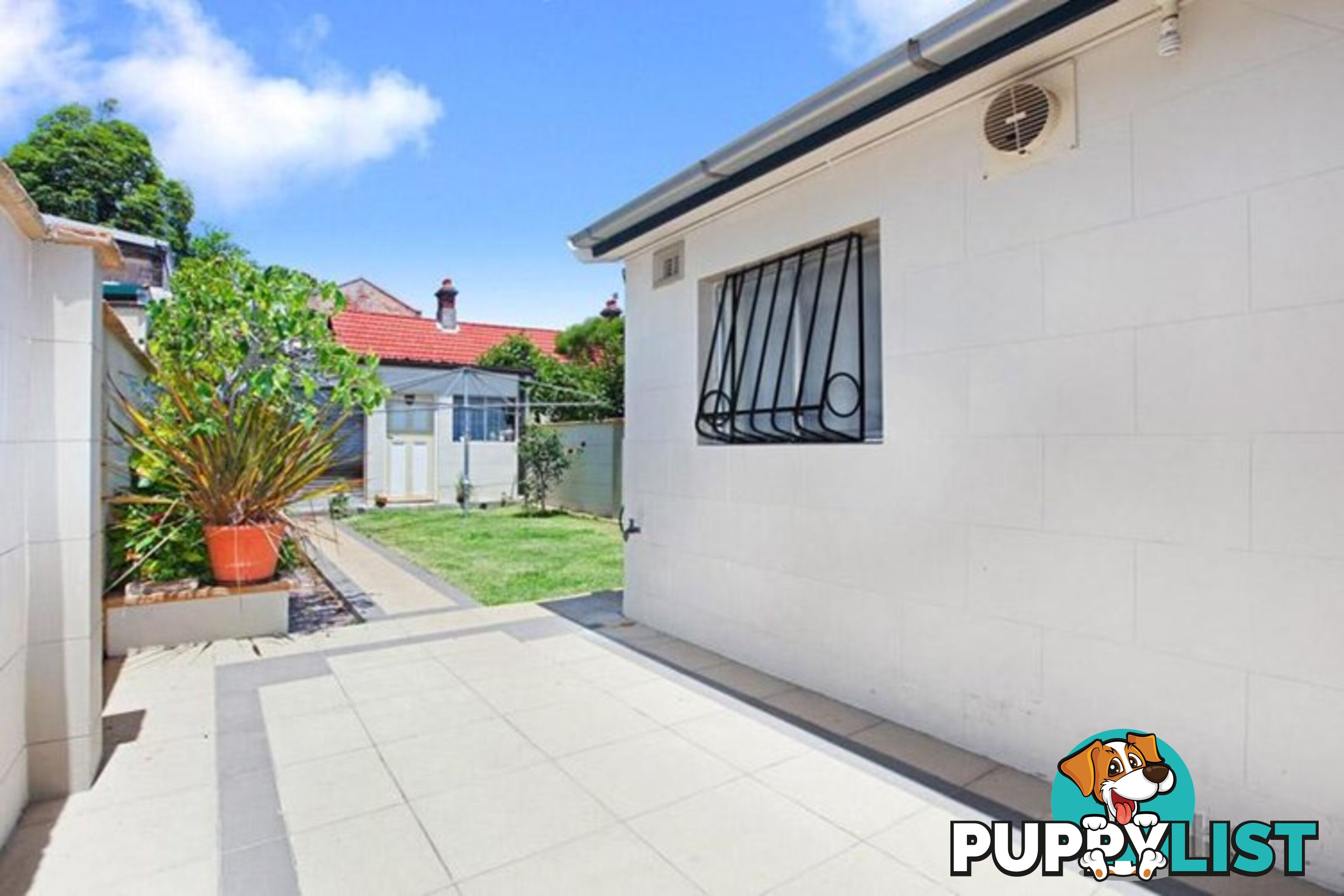 114 Albion Street ANNANDALE NSW 2038