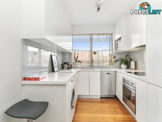 1/74 Alt Street ASHFIELD NSW 2131