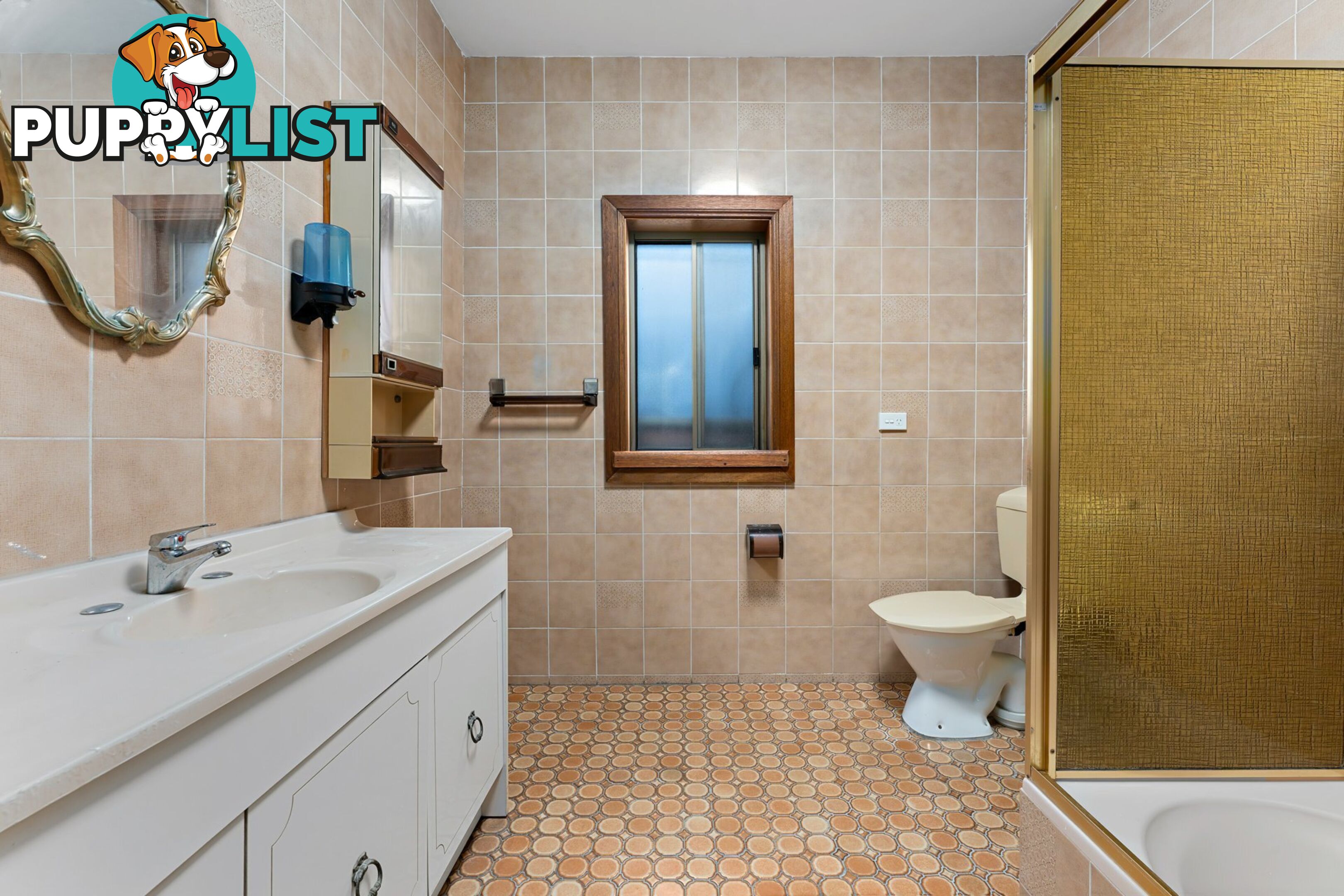 11 Shaftesbury Road BURWOOD NSW 2134