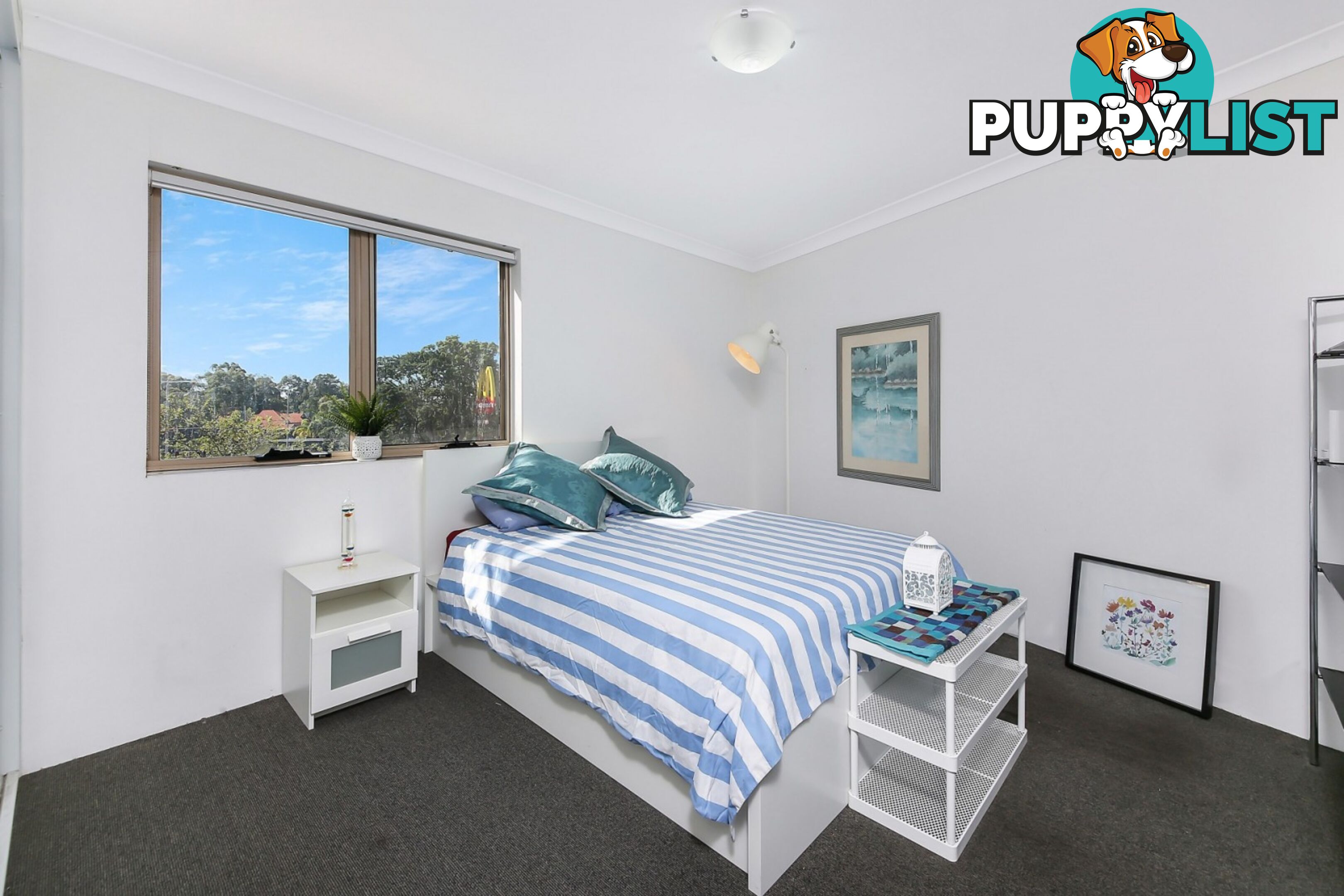 46/12 West Street CROYDON NSW 2132