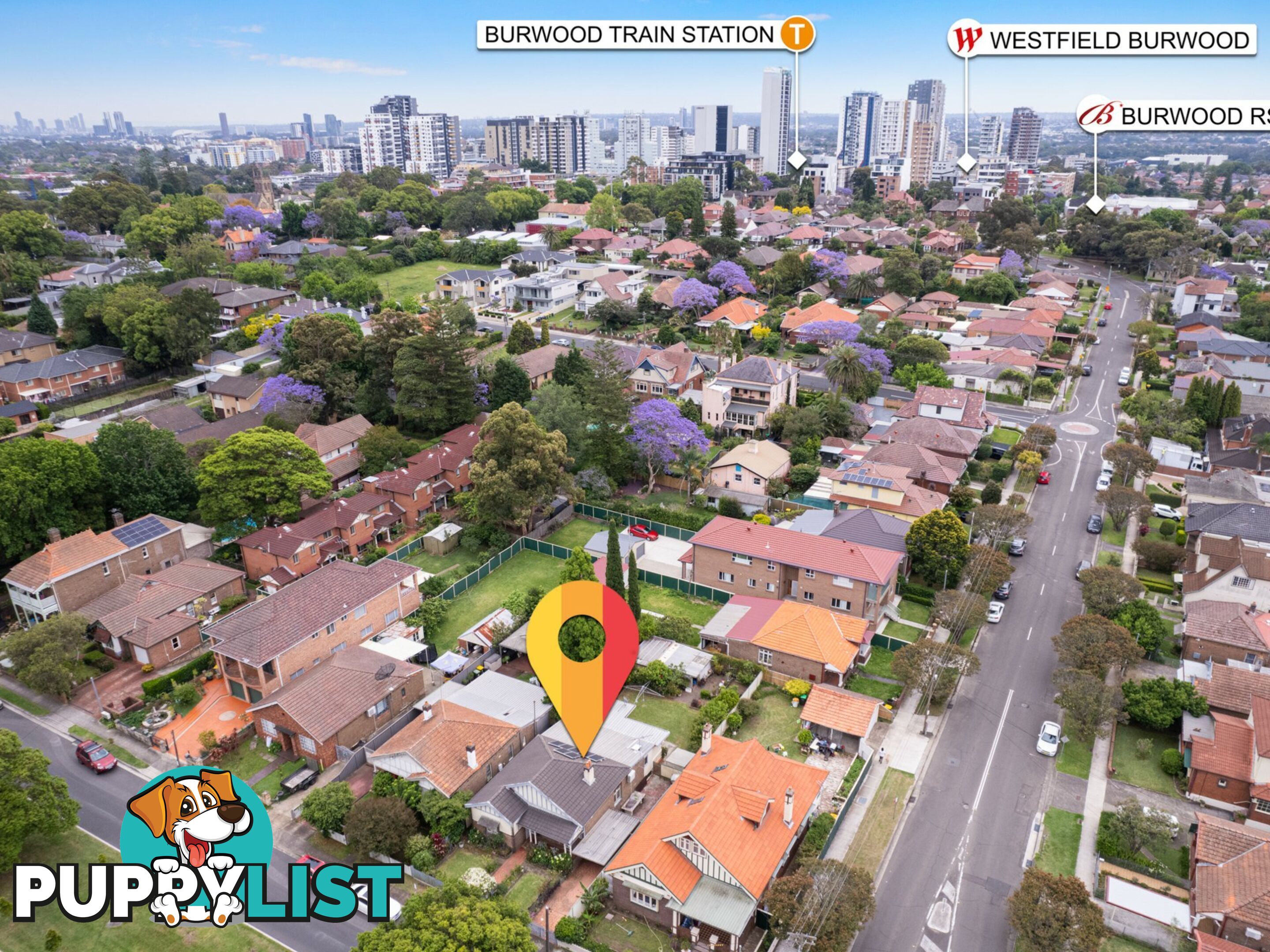 3 Wyatt Avenue BURWOOD NSW 2134