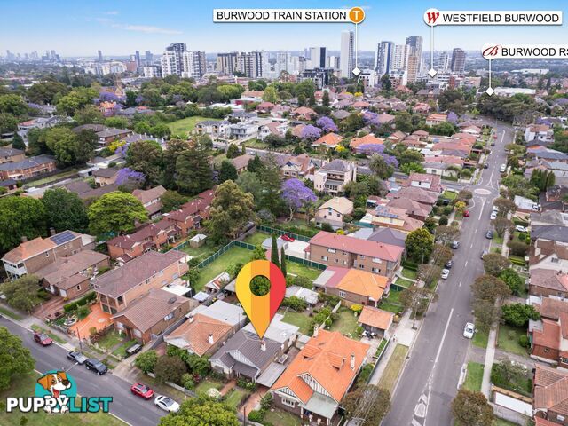 3 Wyatt Avenue BURWOOD NSW 2134