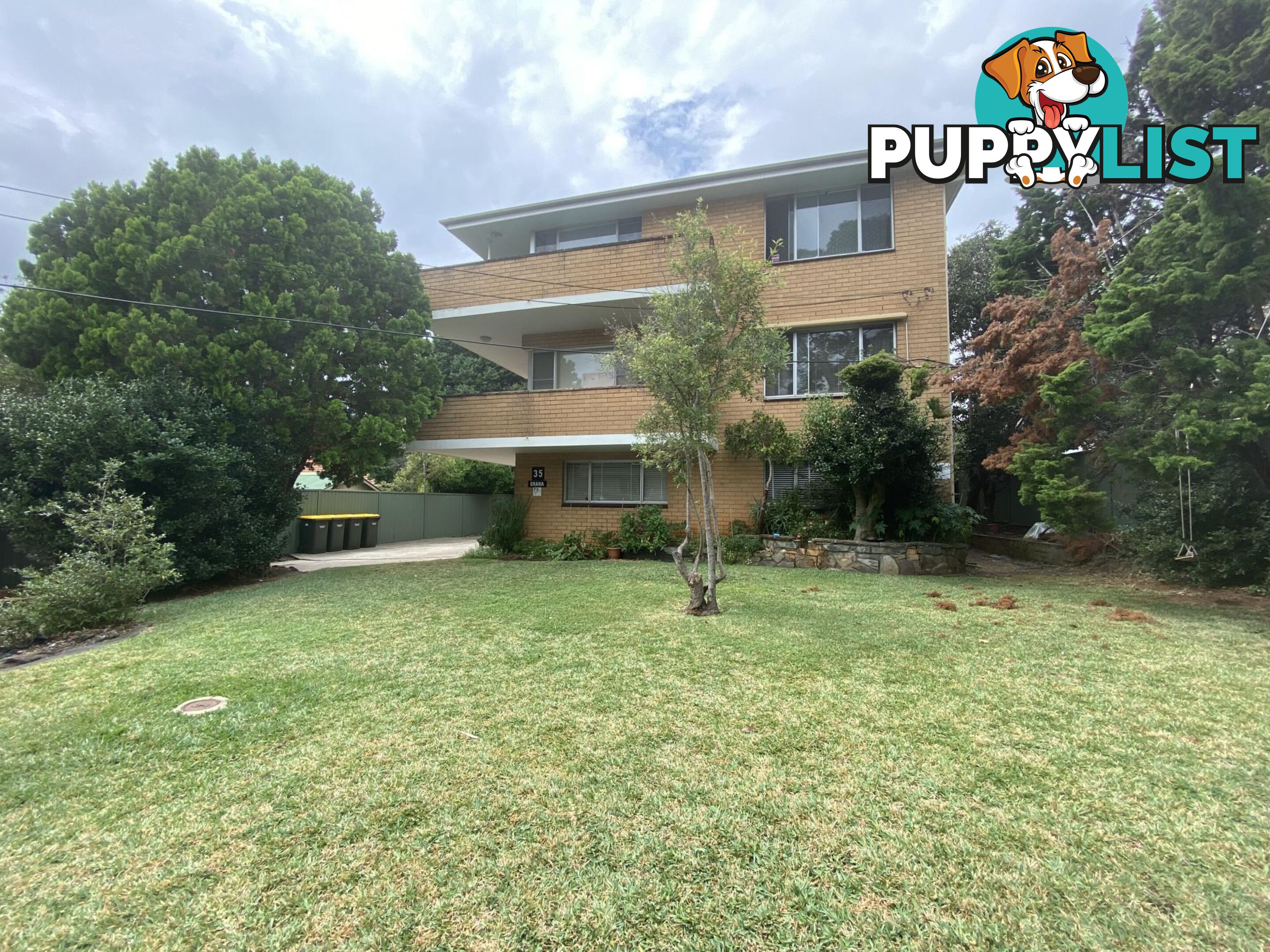 5/35 Charlotte Street ASHFIELD NSW 2131