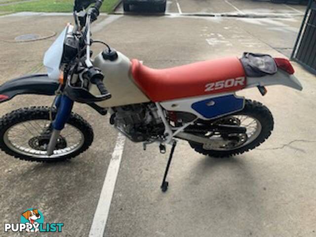 1992  HONDA XR250R   