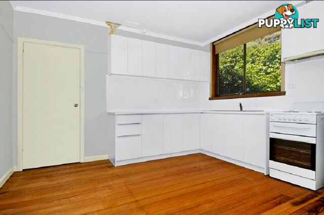 109 Ramu Parade Heidelberg West VIC 3081