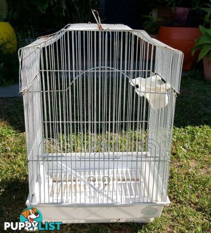 Birdcage White