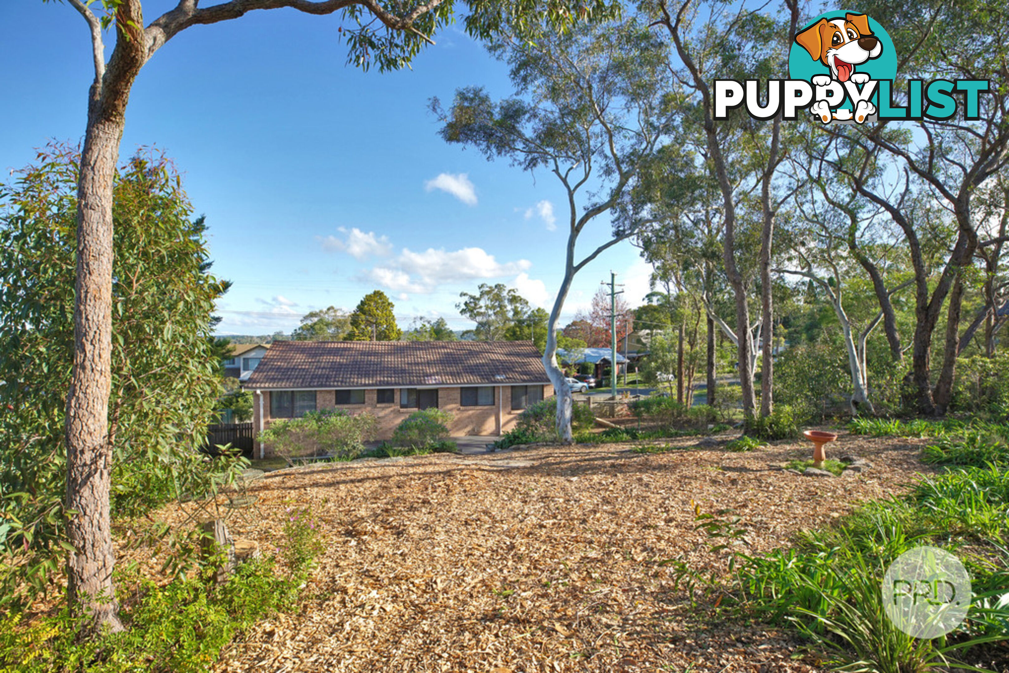 45A St Georges Crescent FAULCONBRIDGE NSW 2776