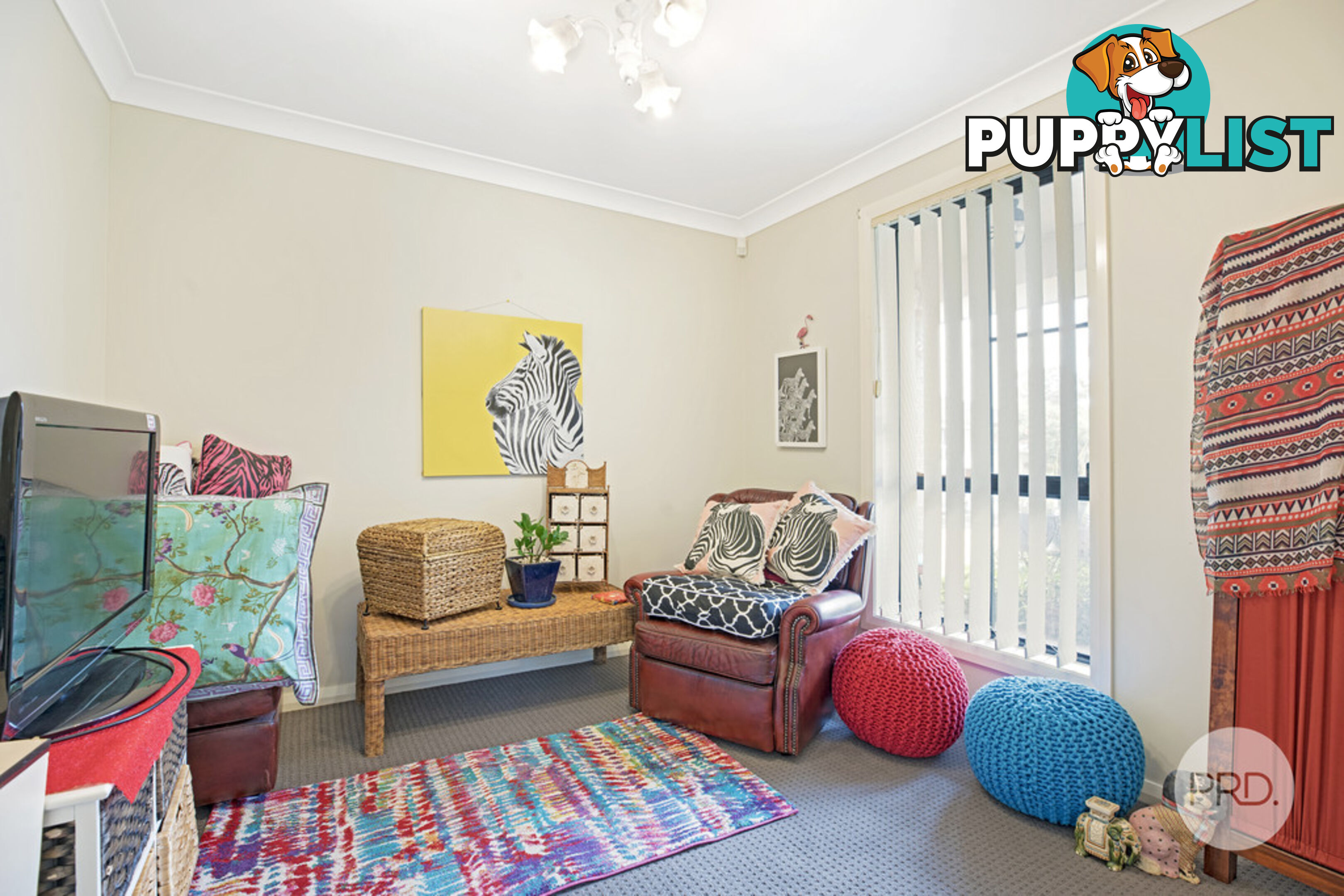 1/135 Cambridge Street CAMBRIDGE PARK NSW 2747