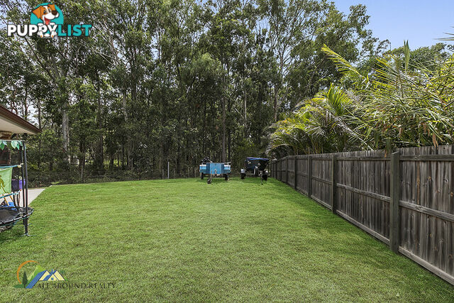 6 Danica Court MORAYFIELD QLD 4506