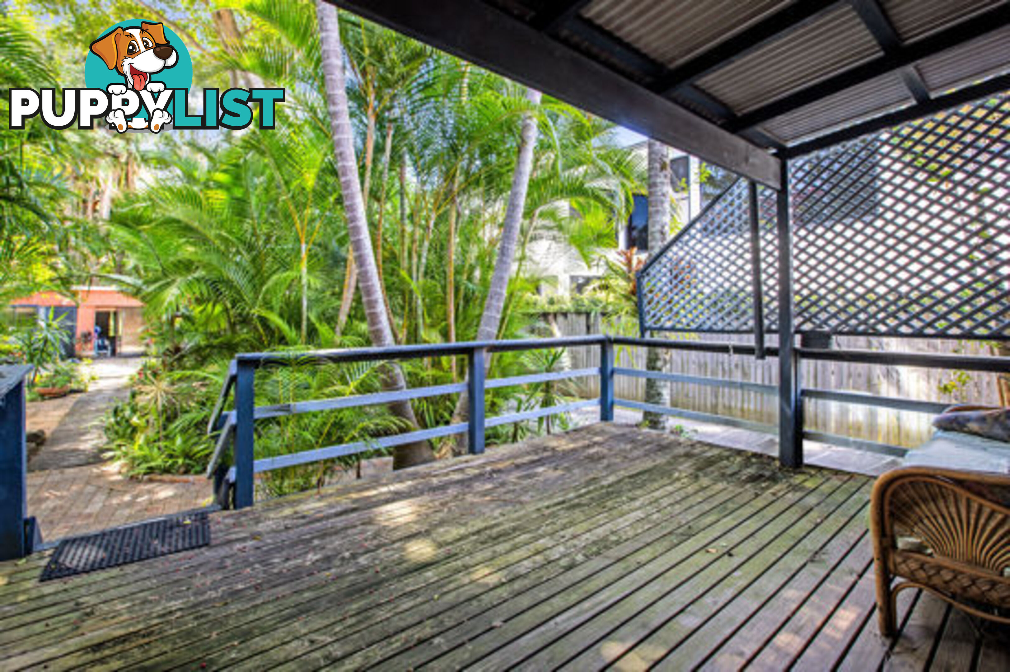 60 DUTTON STREET COOLANGATTA QLD 4225