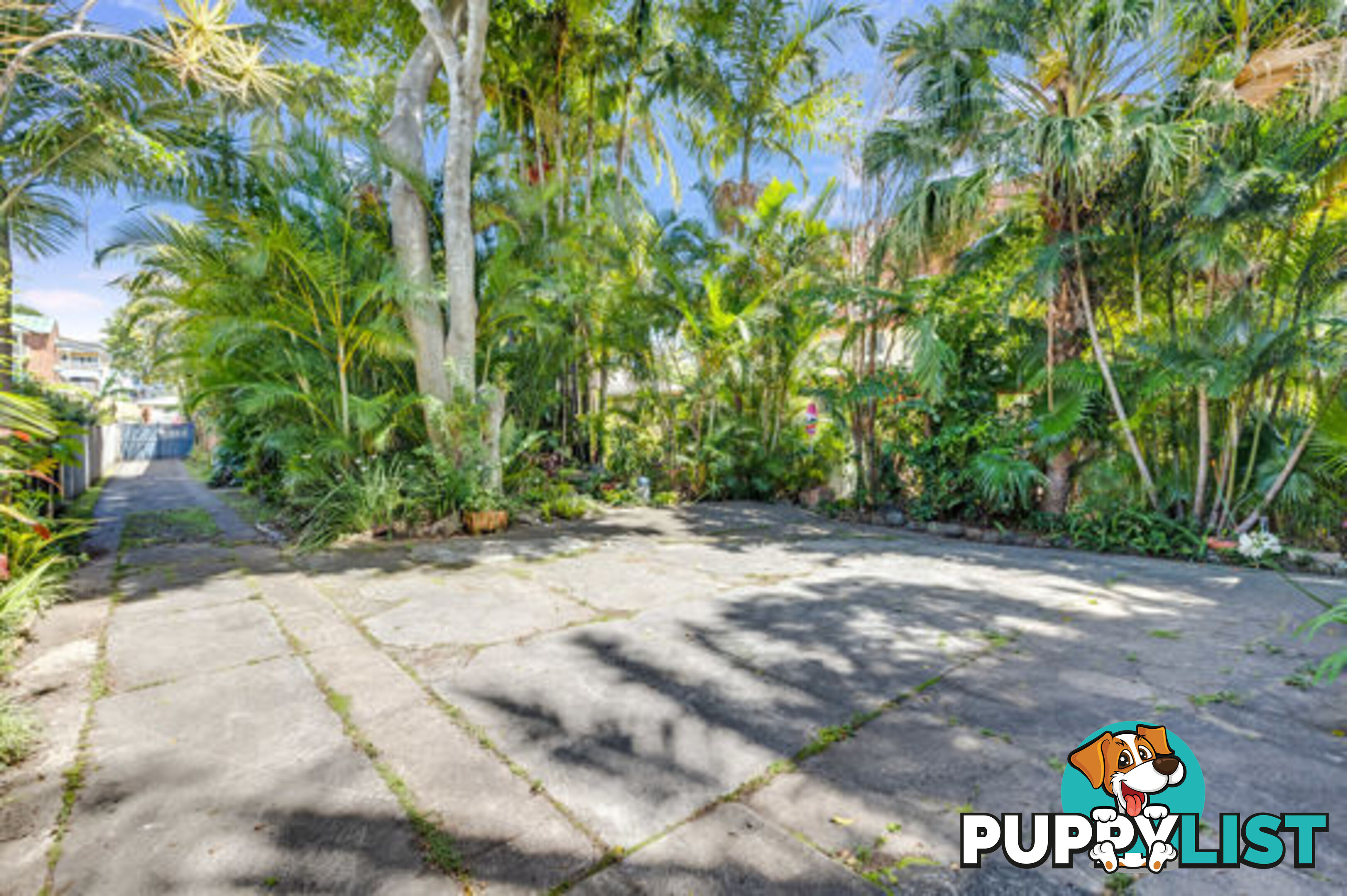 60 DUTTON STREET COOLANGATTA QLD 4225