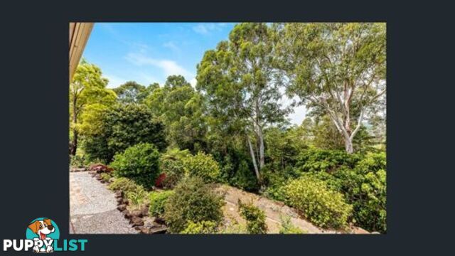 19 Fir BILAMBIL HEIGHTS NSW 2486