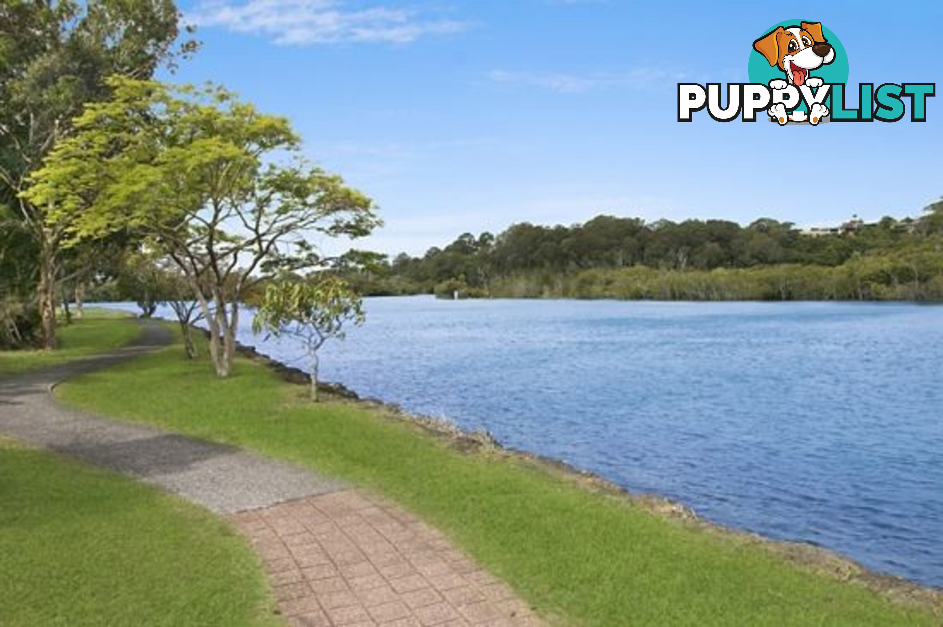 6 Perch Place TWEED HEADS WEST NSW 2485