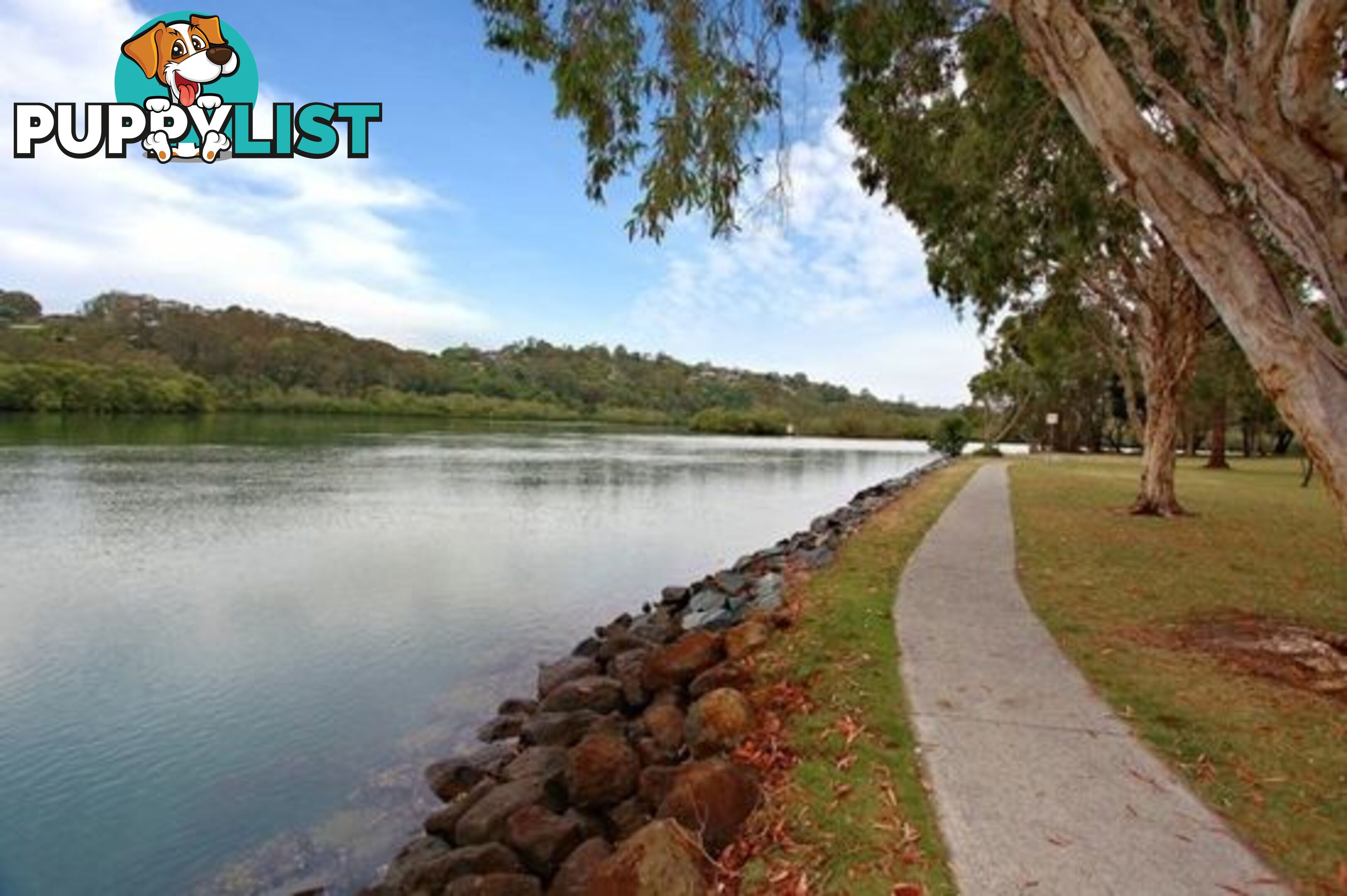 6 Perch Place TWEED HEADS WEST NSW 2485