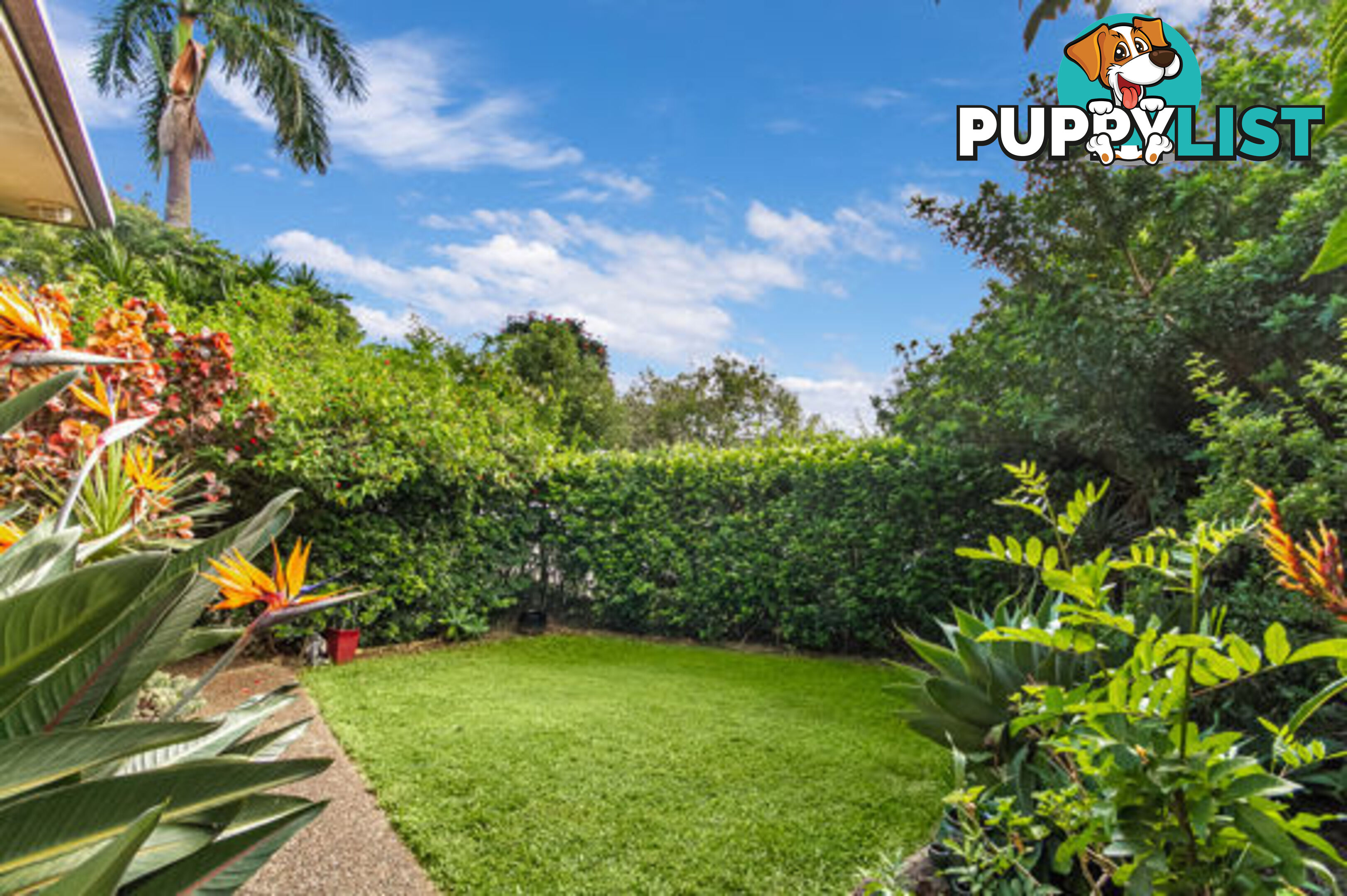 1/5 Buenavista Drive BILAMBIL HEIGHTS NSW 2486