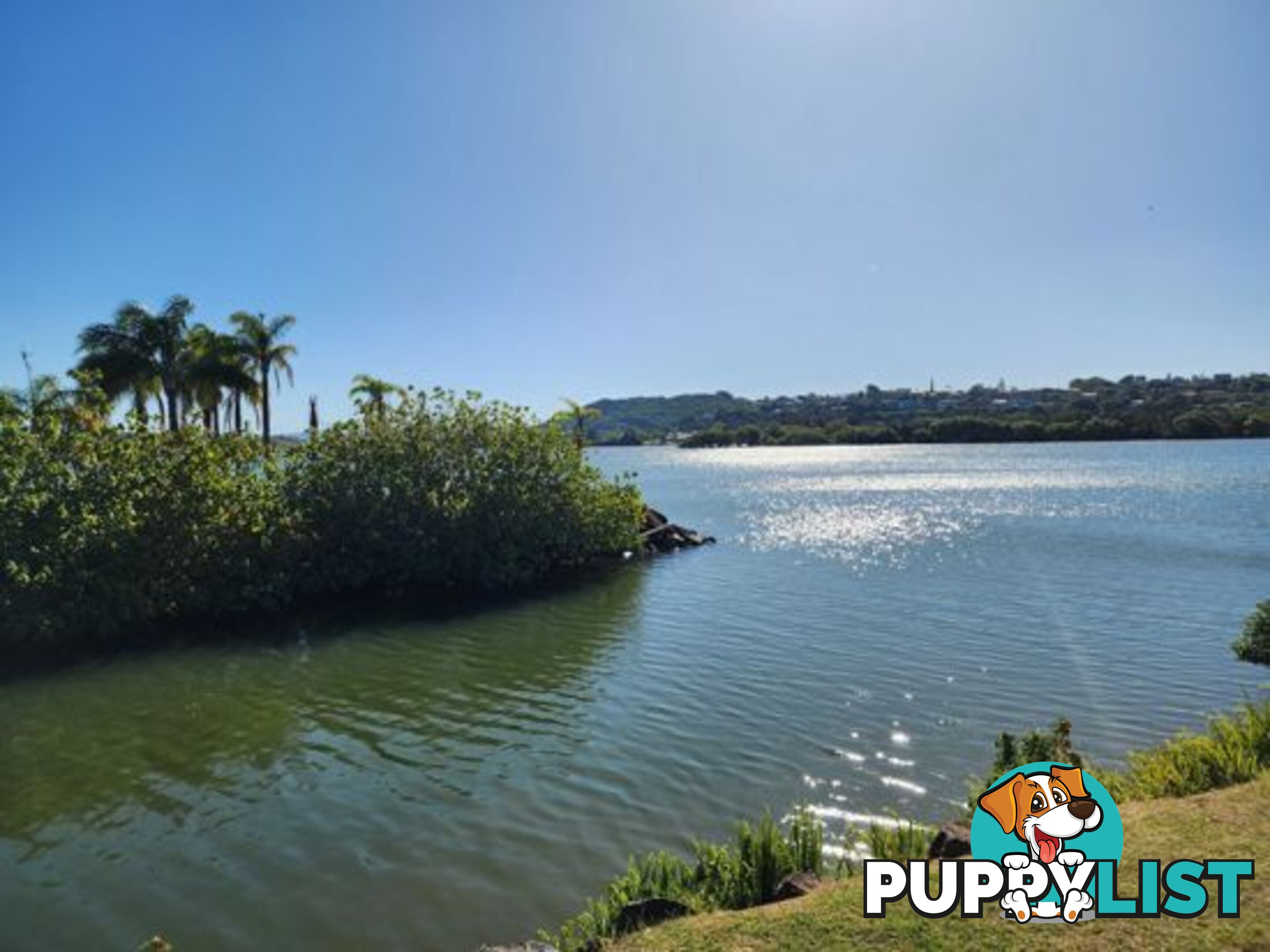 2MV/37 Chinderah Bay Dr CHINDERAH NSW 2487