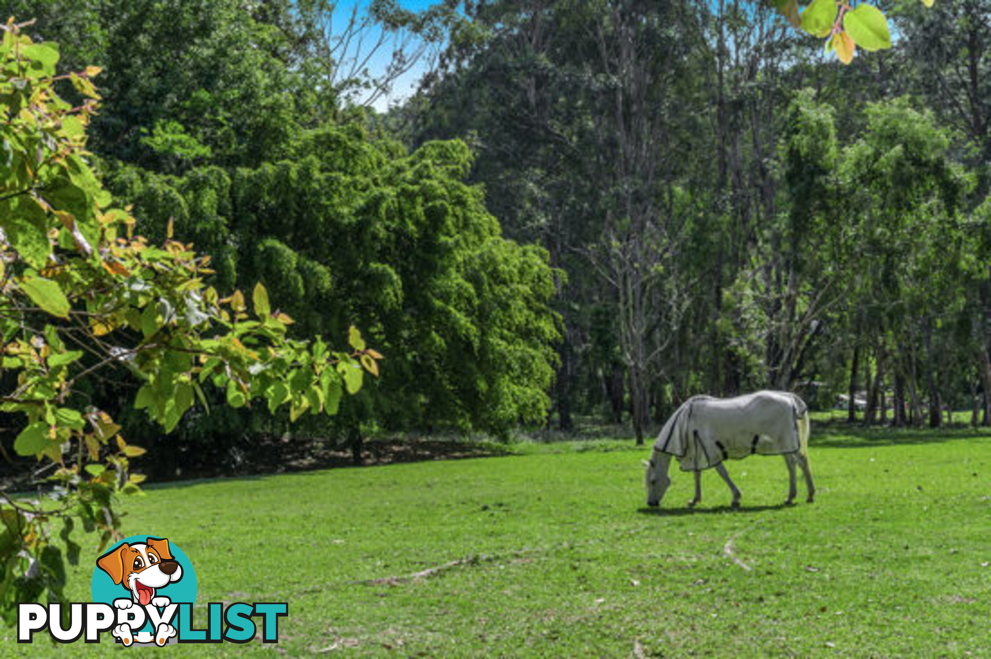 76 Green Valley Way PIGGABEEN NSW 2486