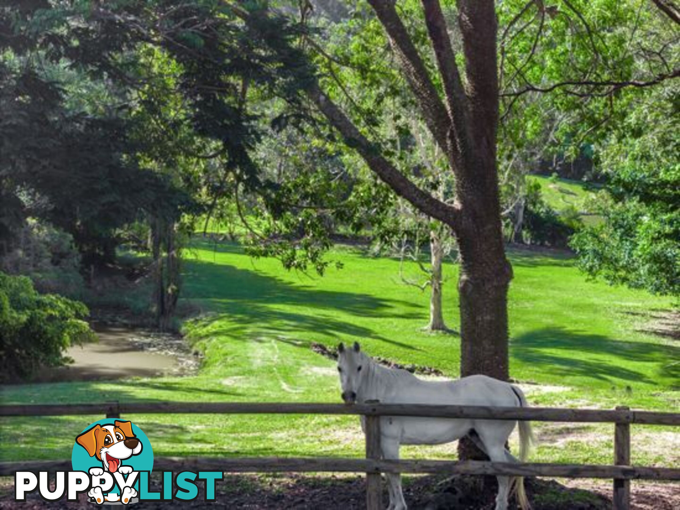 76 Green Valley Way PIGGABEEN NSW 2486